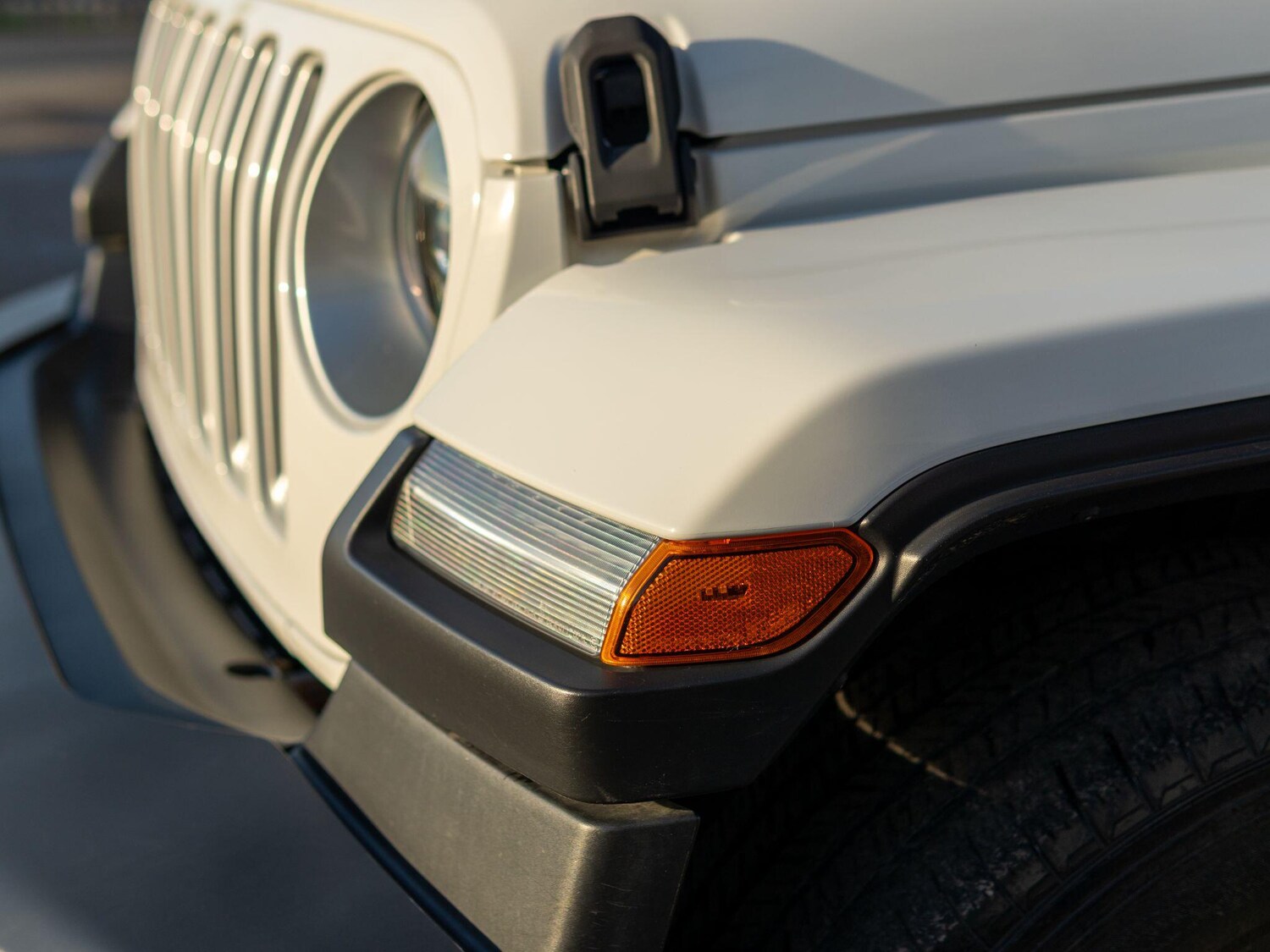 Used Jeep Wrangler for sale - 77688847: Photo 24