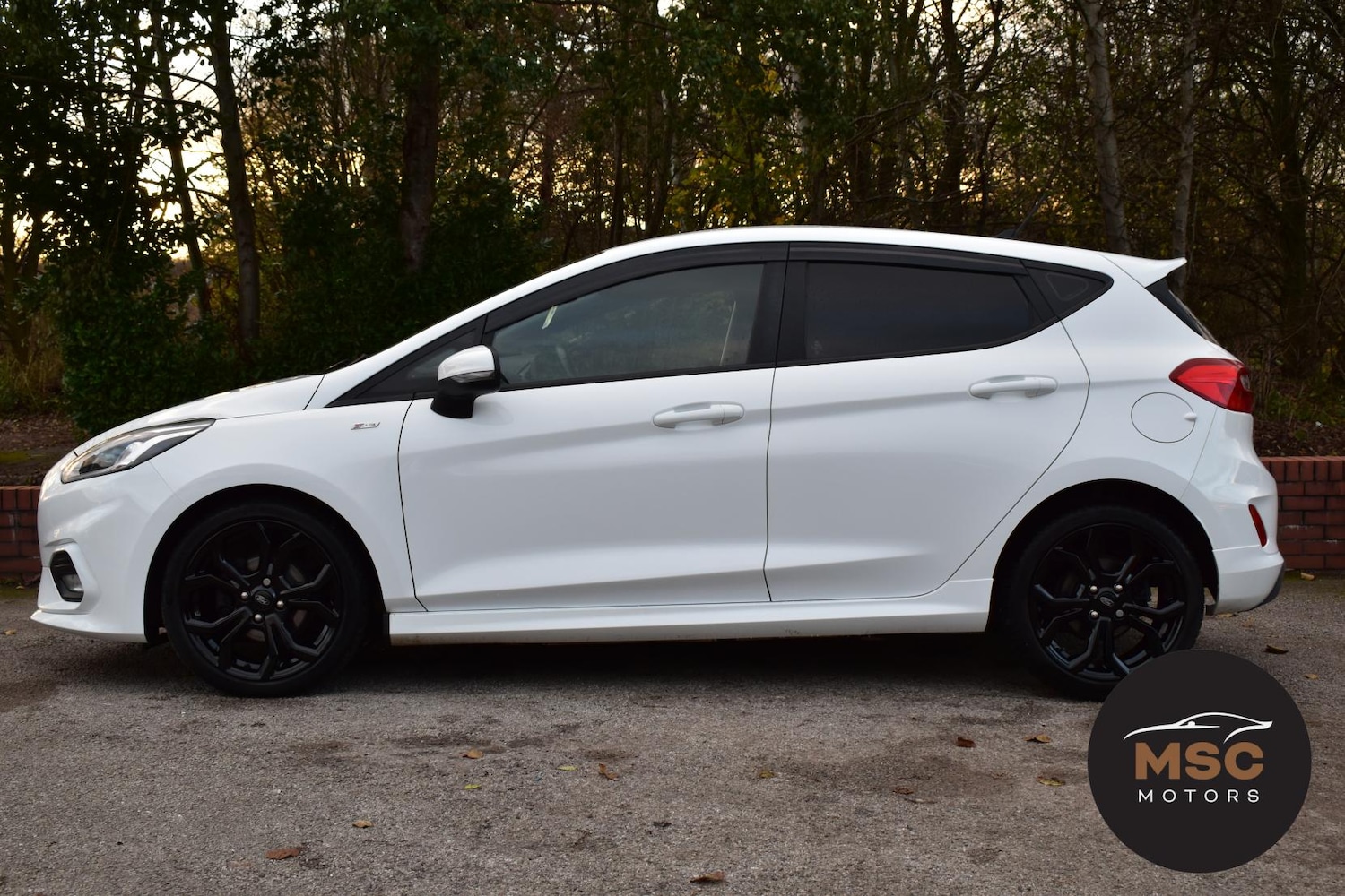 Used Ford Fiesta 2019 for sale - 76643867: Photo 10