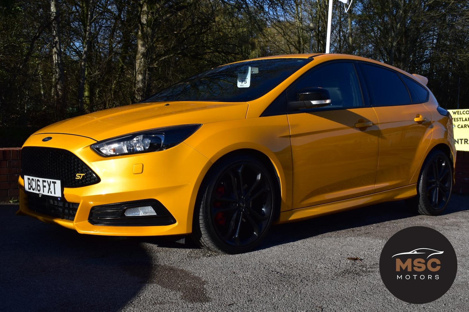 Used Ford Focus 2016 for sale - 76590077: Photo 8