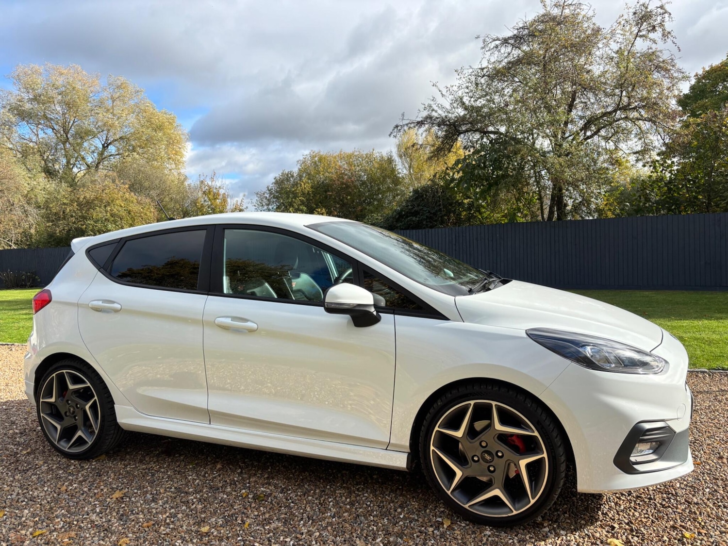 Used Ford Fiesta 2018 for sale - 76369075: Photo 10