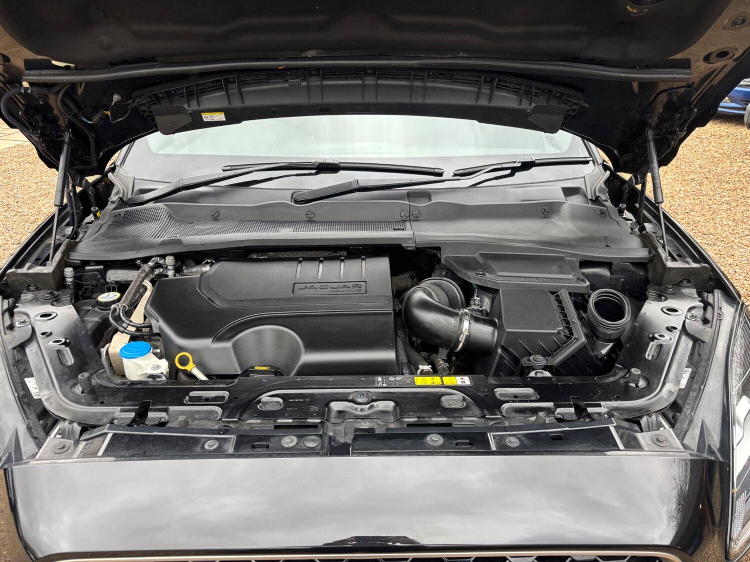 Used Jaguar E-Pace for sale - 77683436: Photo 45