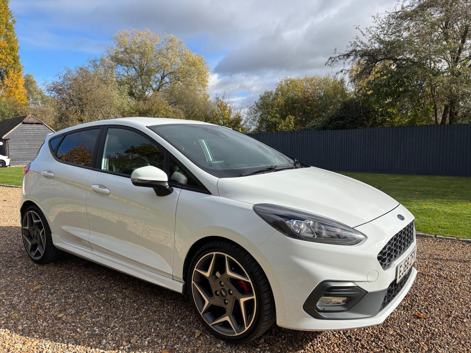 Used Ford Fiesta 2018 for sale - 77114250: Photo 11