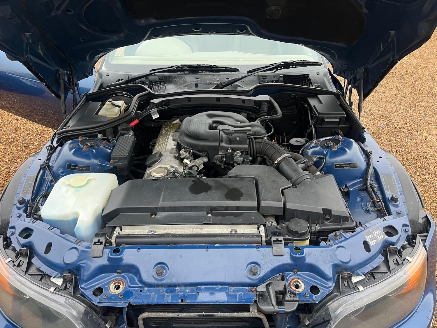 Used BMW Z3 2000 for sale - 77164243: Photo 44