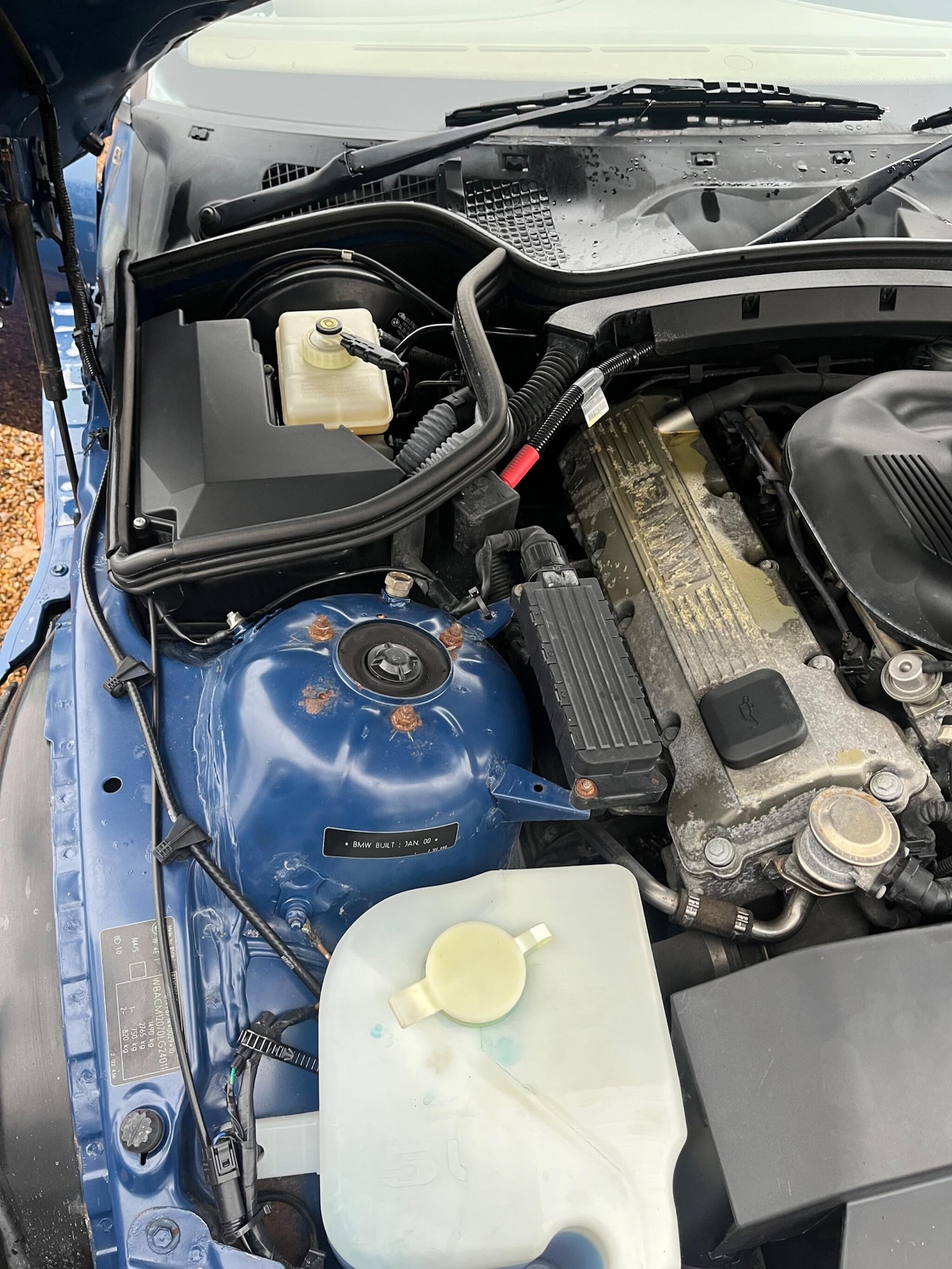 Used BMW Z3 2000 for sale - 77164243: Photo 46