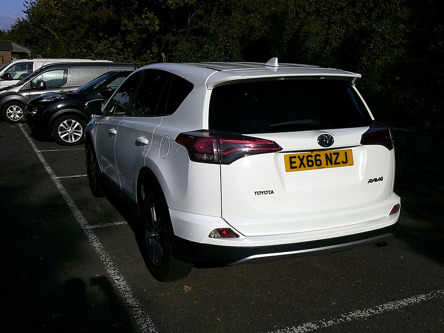 Used Toyota RAV4 2016 for sale - 76218995: Photo 11