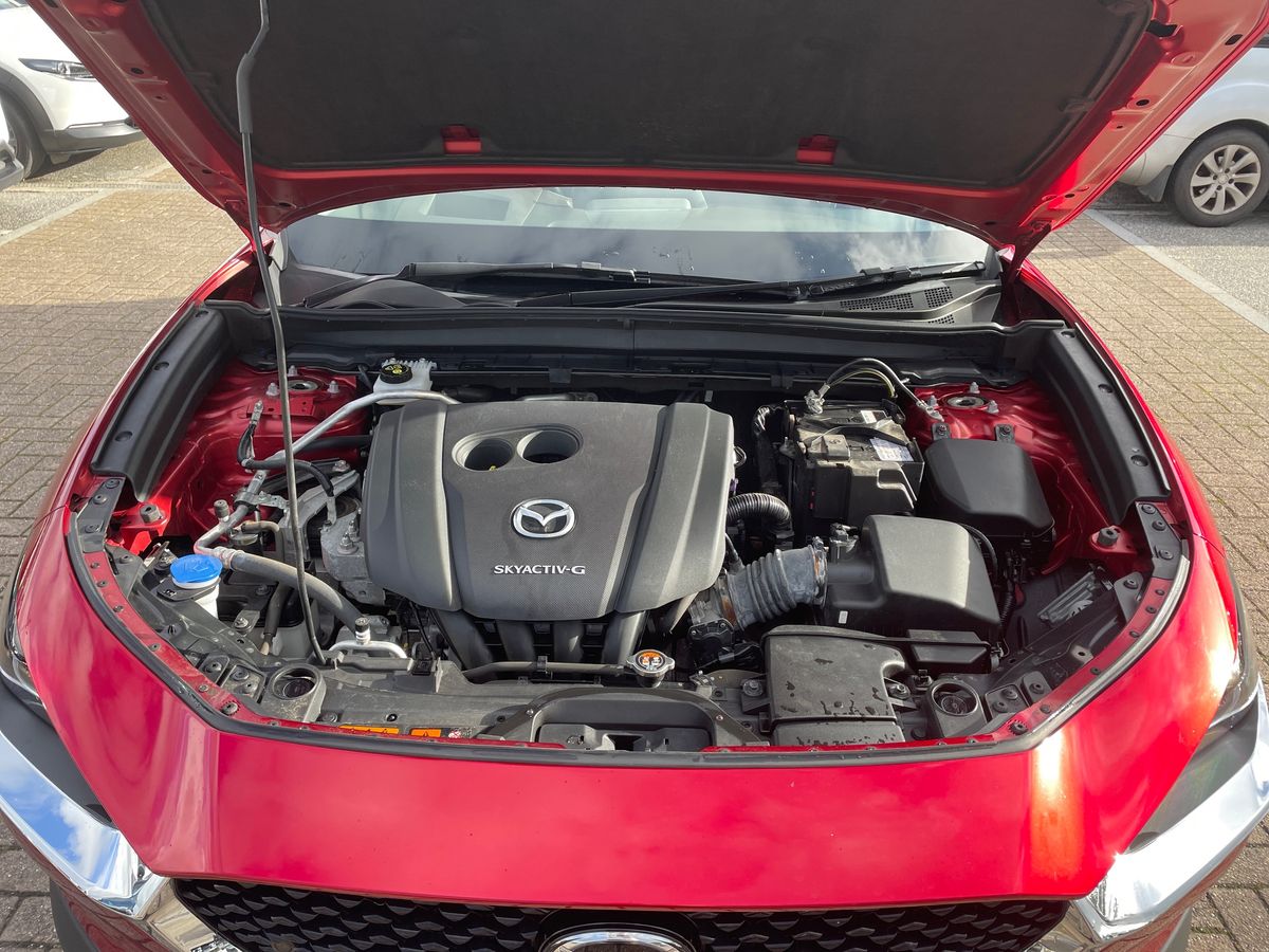Vehicle 33