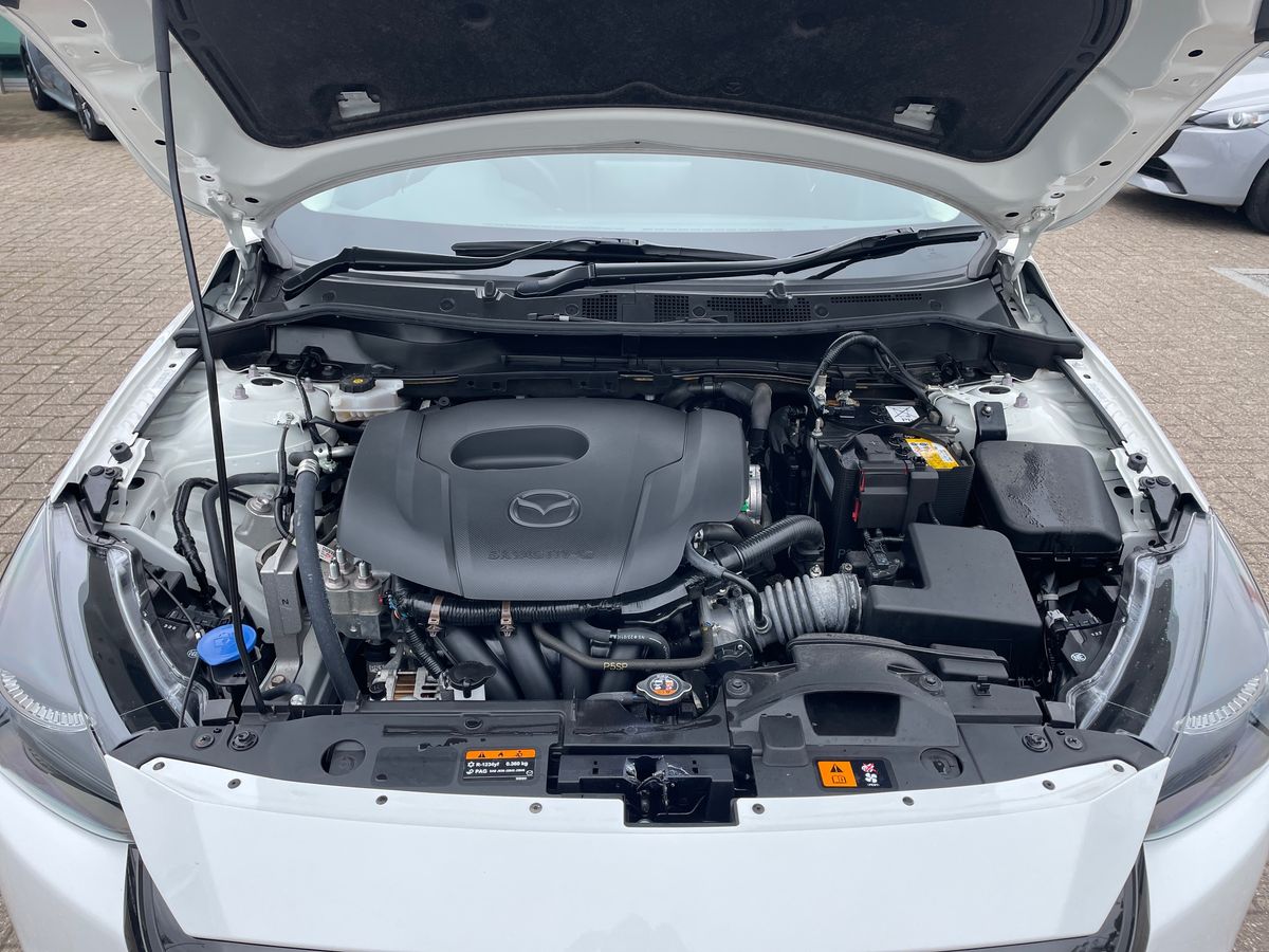 Vehicle 33