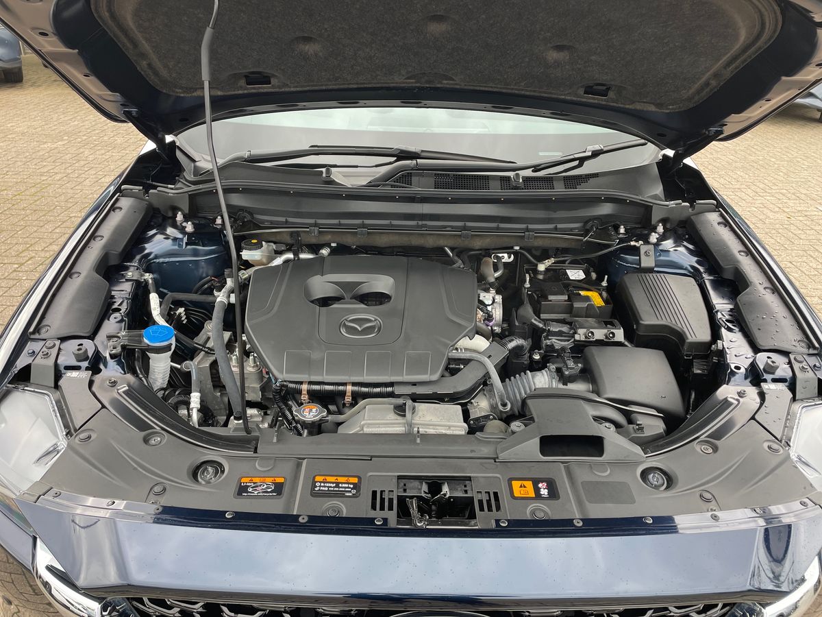 Vehicle 33