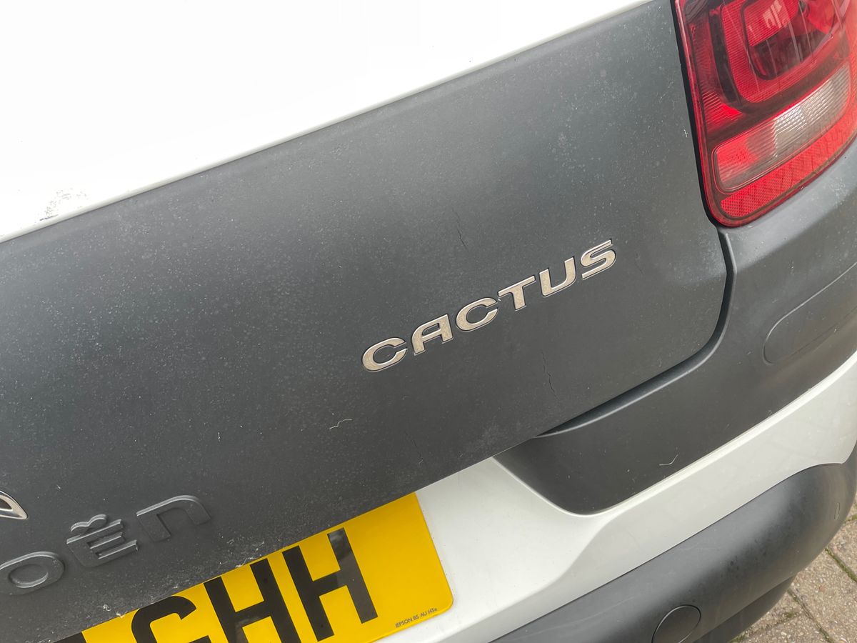 Used Citroen C4 Cactus 2017 for sale - 76458843: Photo 31