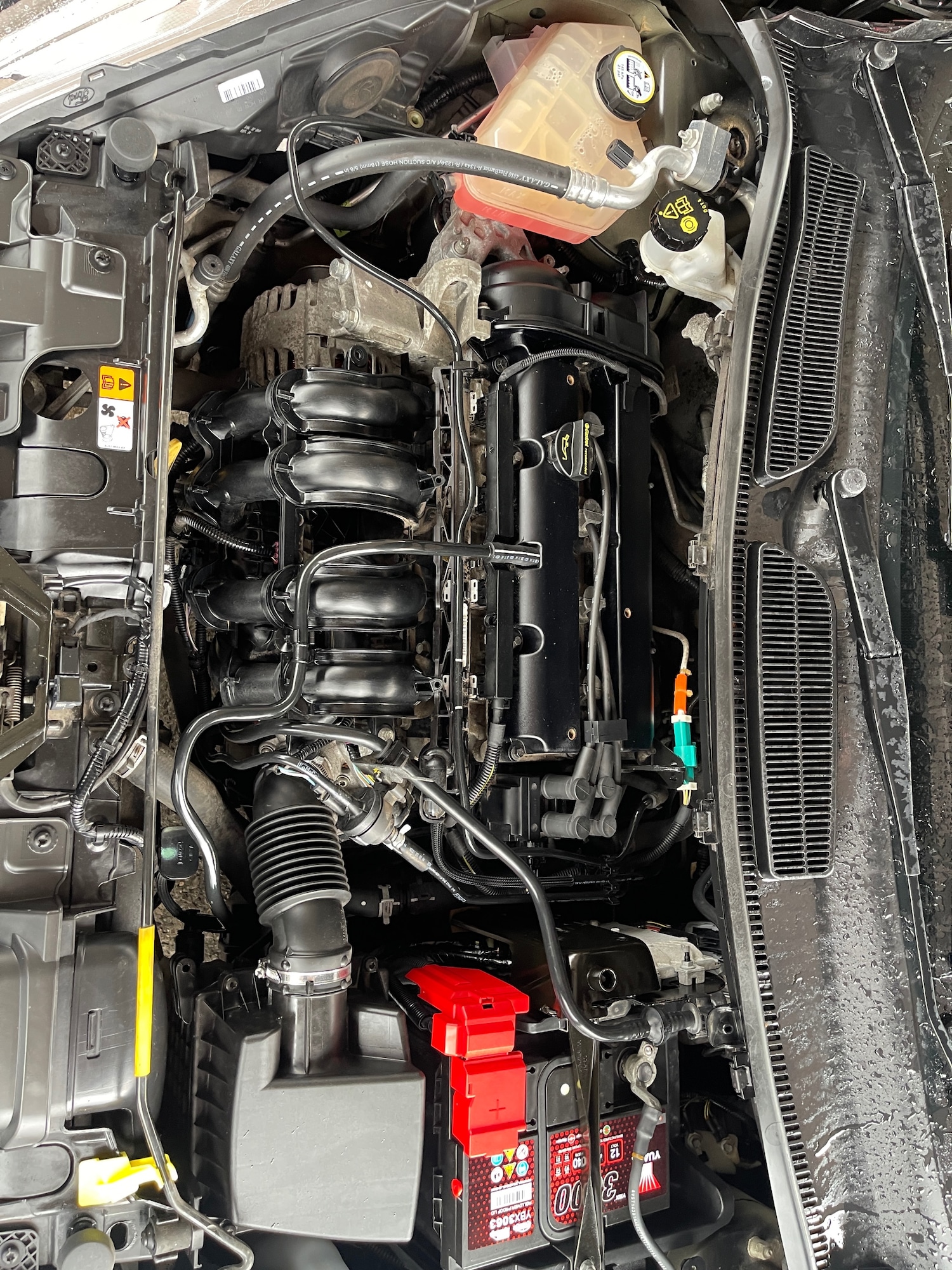 Used Ford Fiesta 2015 for sale - 76423448: Photo 21