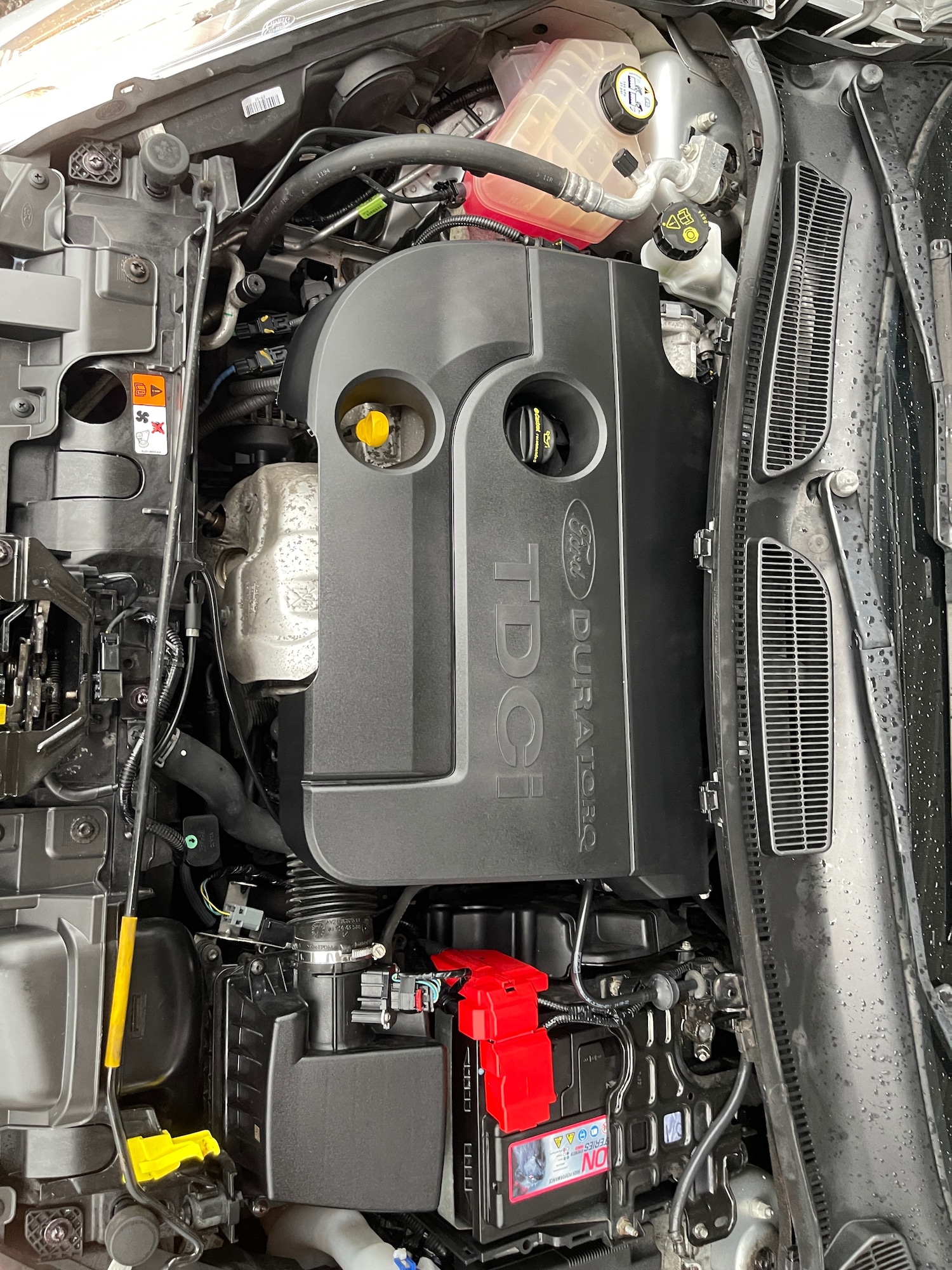 Used Ford Fiesta 2014 for sale - 76144334: Photo 20