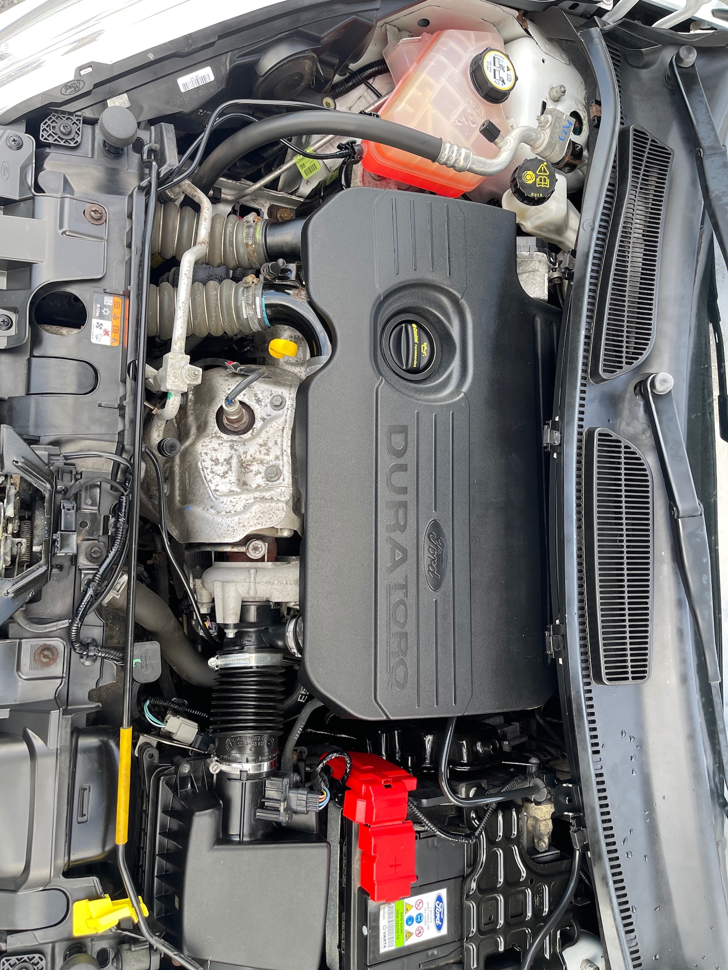 Used Ford Fiesta 2016 for sale - 77001165: Photo 19