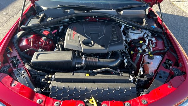 Used Alfa Romeo Giulia 2020 for sale - 76112244: Photo 16