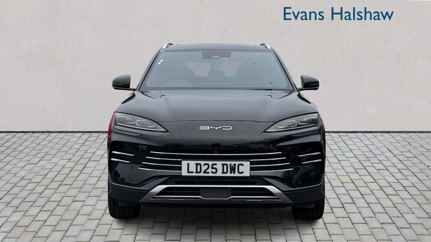 Used BYD Seal U for sale - 77858175: Photo 4