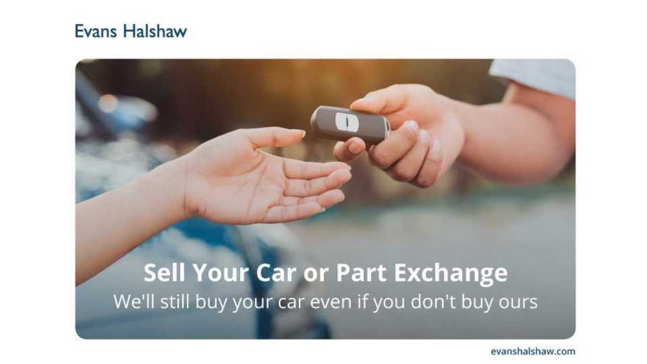 Used Volkswagen Golf 2019 for sale - 77856647: Photo 24