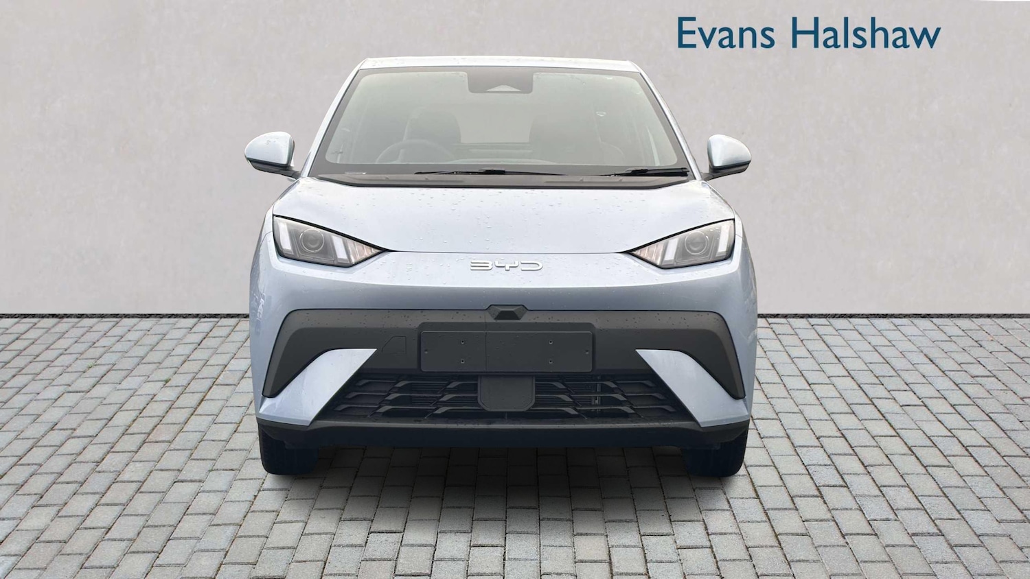 Used BYD Dolphin for sale - 77862552: Photo 3