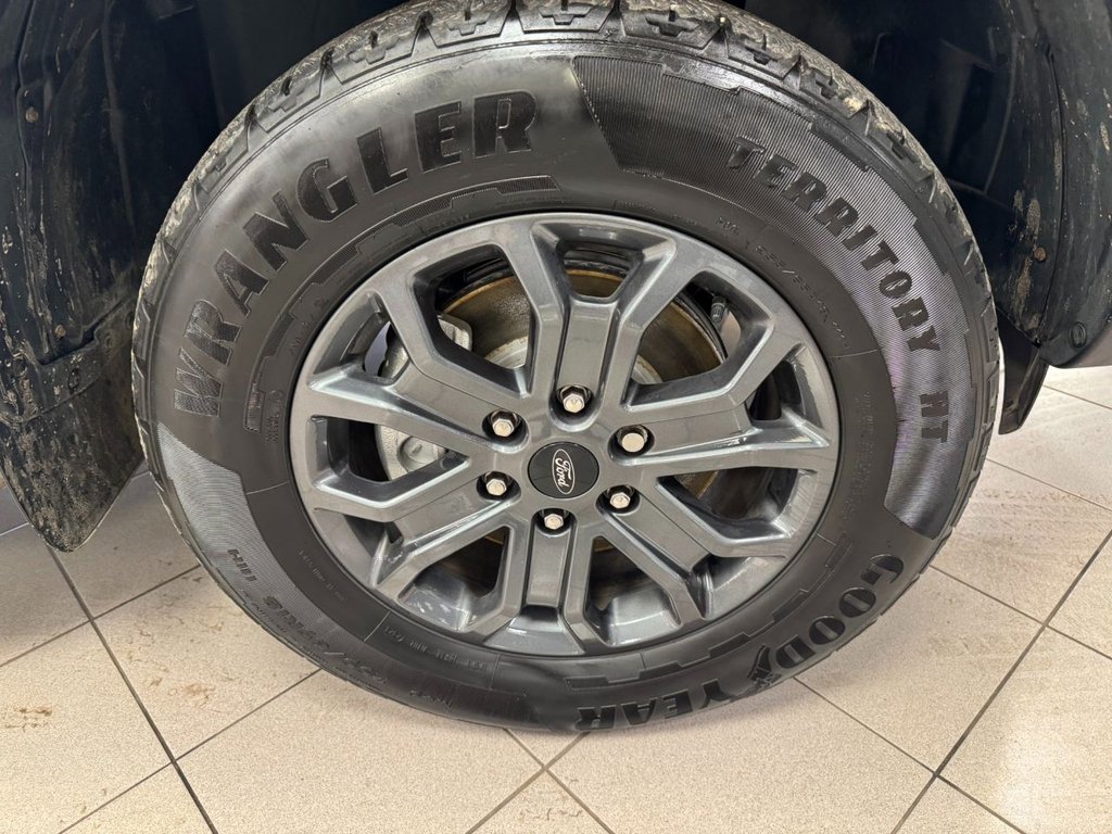 Used Ford Ranger 2023 for sale - 77654634: Photo 11