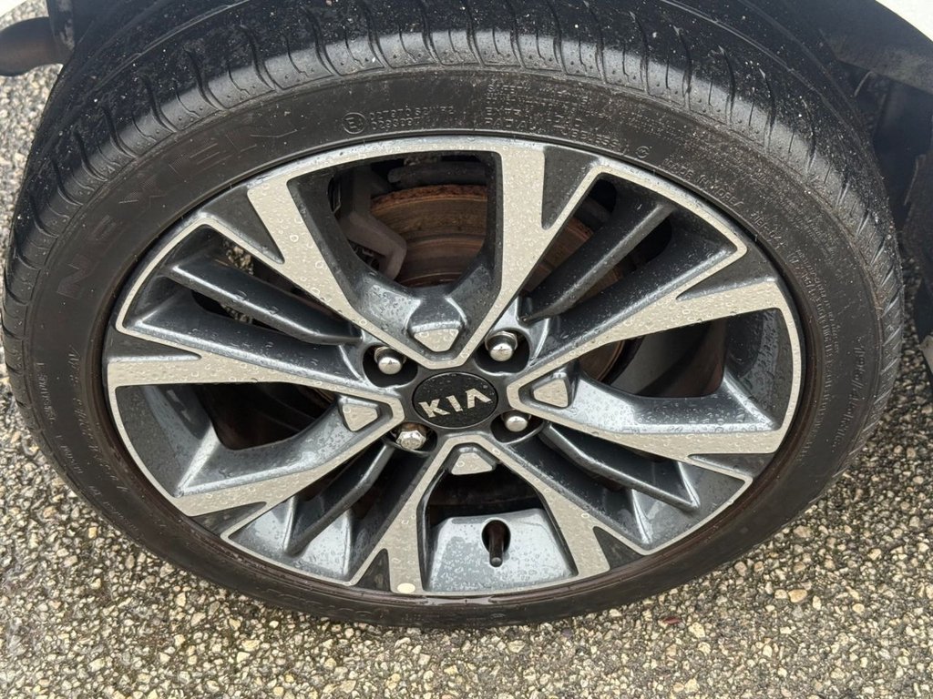 Used Kia Picanto 2021 for sale - 77287536: Photo 12