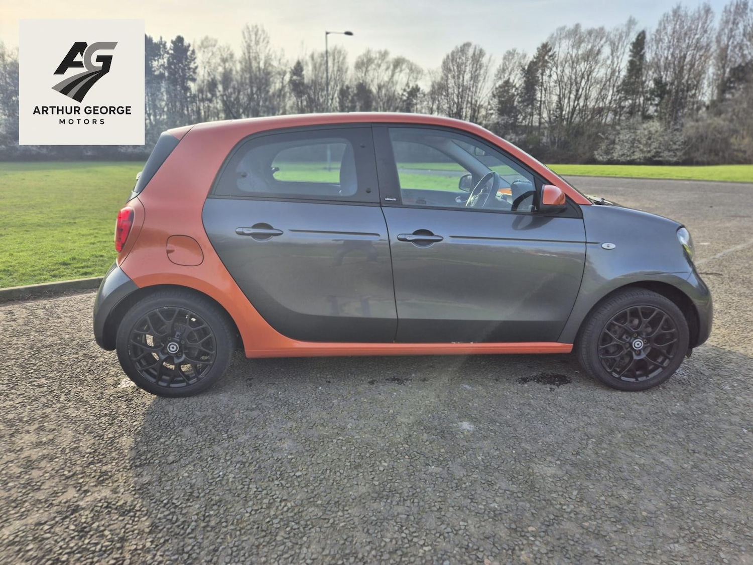 Used smart forfour 2016 for sale - 77969066: Photo 14