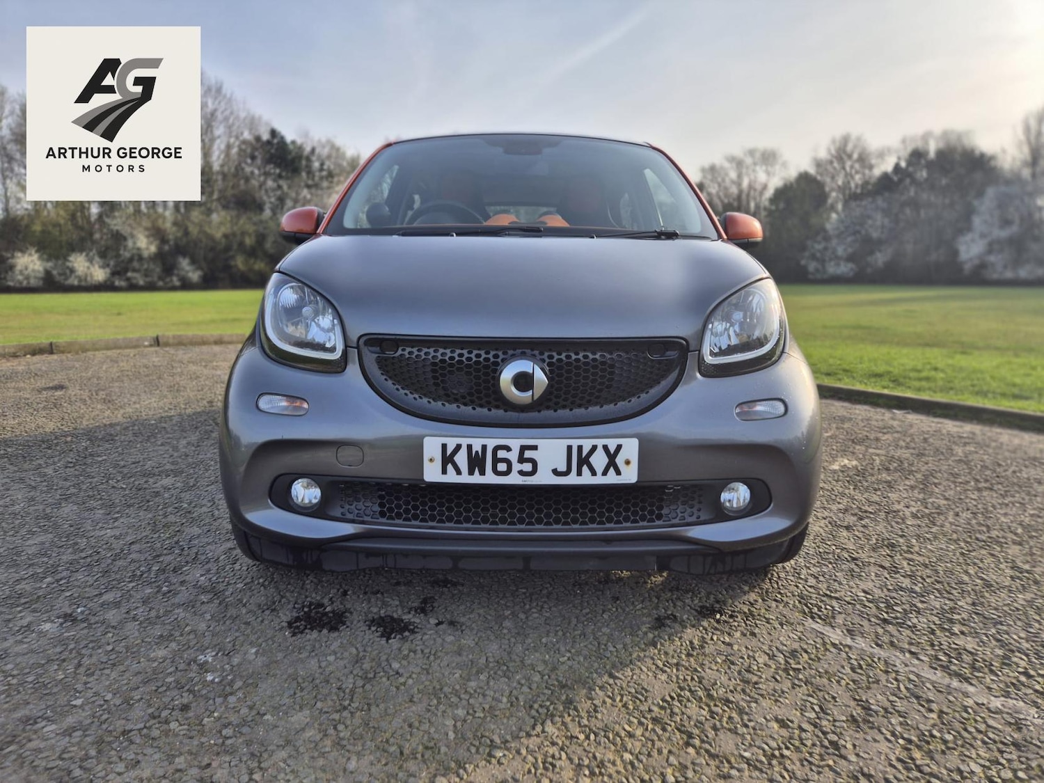 Used smart forfour 2016 for sale - 77969066: Photo 18