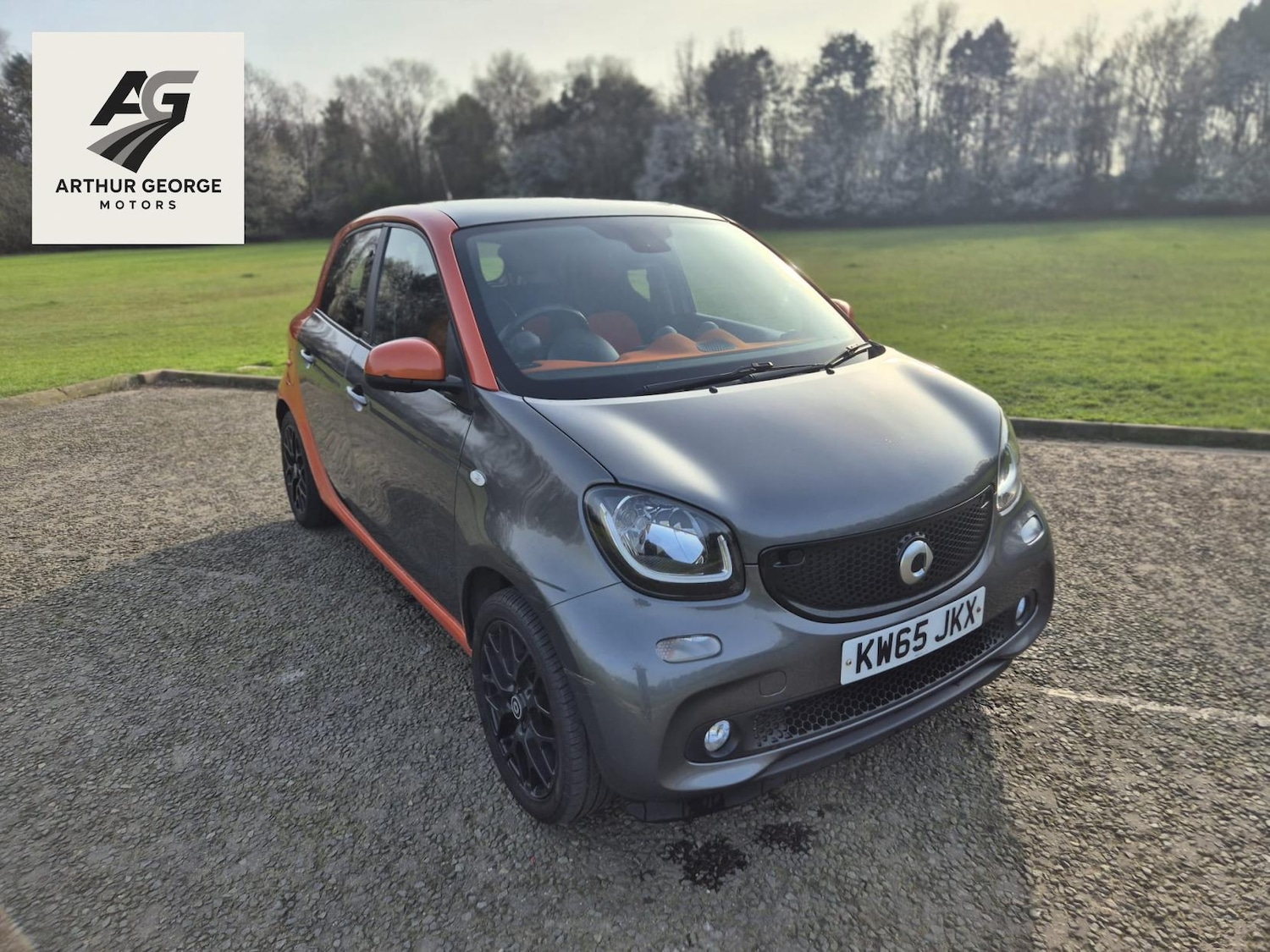 Used smart forfour 2016 for sale - 77969066: Photo 22