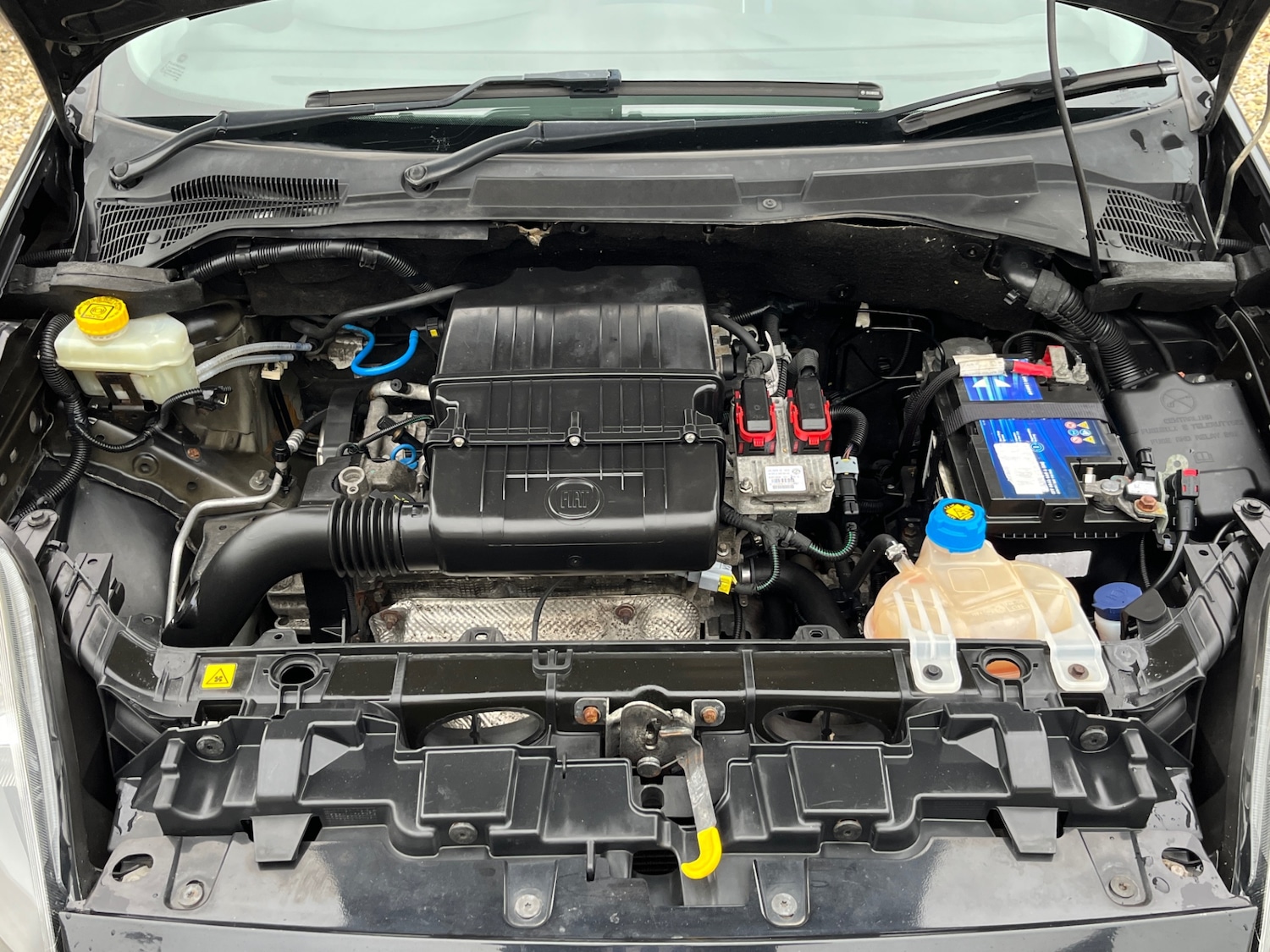 Used Fiat Punto 2013 for sale - 76594886: Photo 19