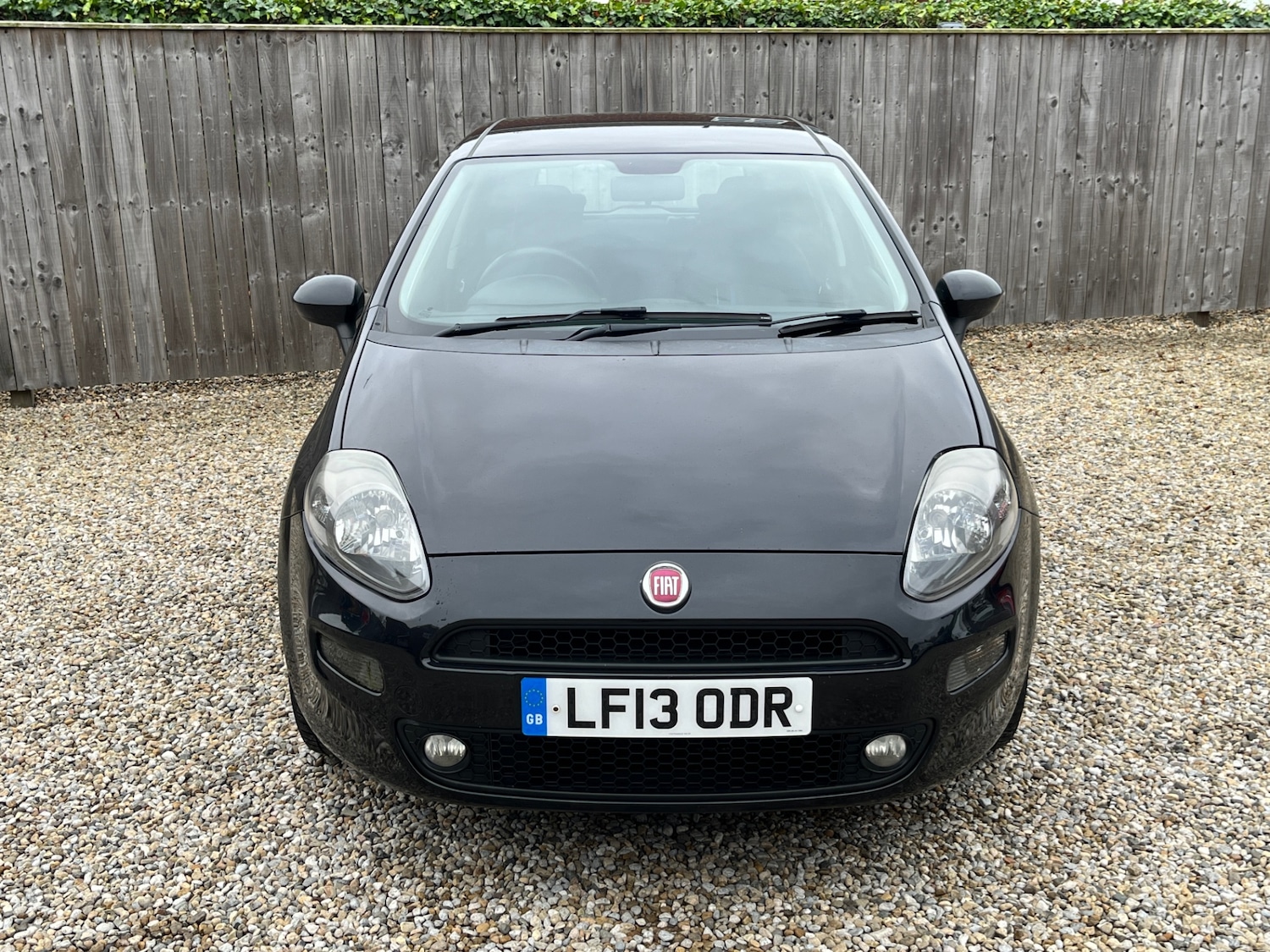 Used Fiat Punto 2013 for sale - 76594886: Photo 3