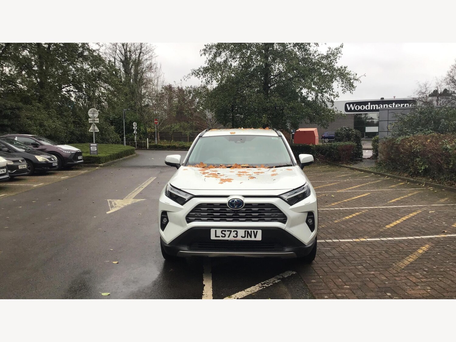 Used Toyota RAV4 2023 for sale - 77191002: Photo 17