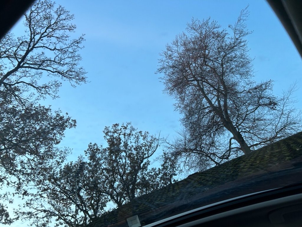 Used Nissan Qashqai 2019 for sale - 77659809: Photo 18