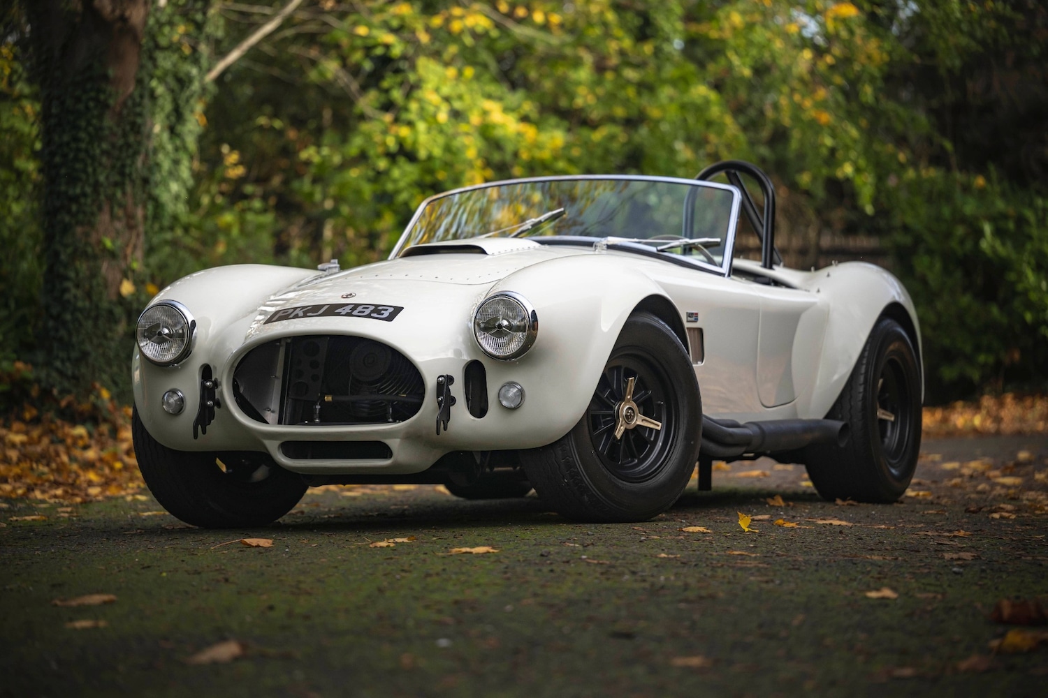 Used AC Cobra 1966 for sale - 76602729: Photo 1