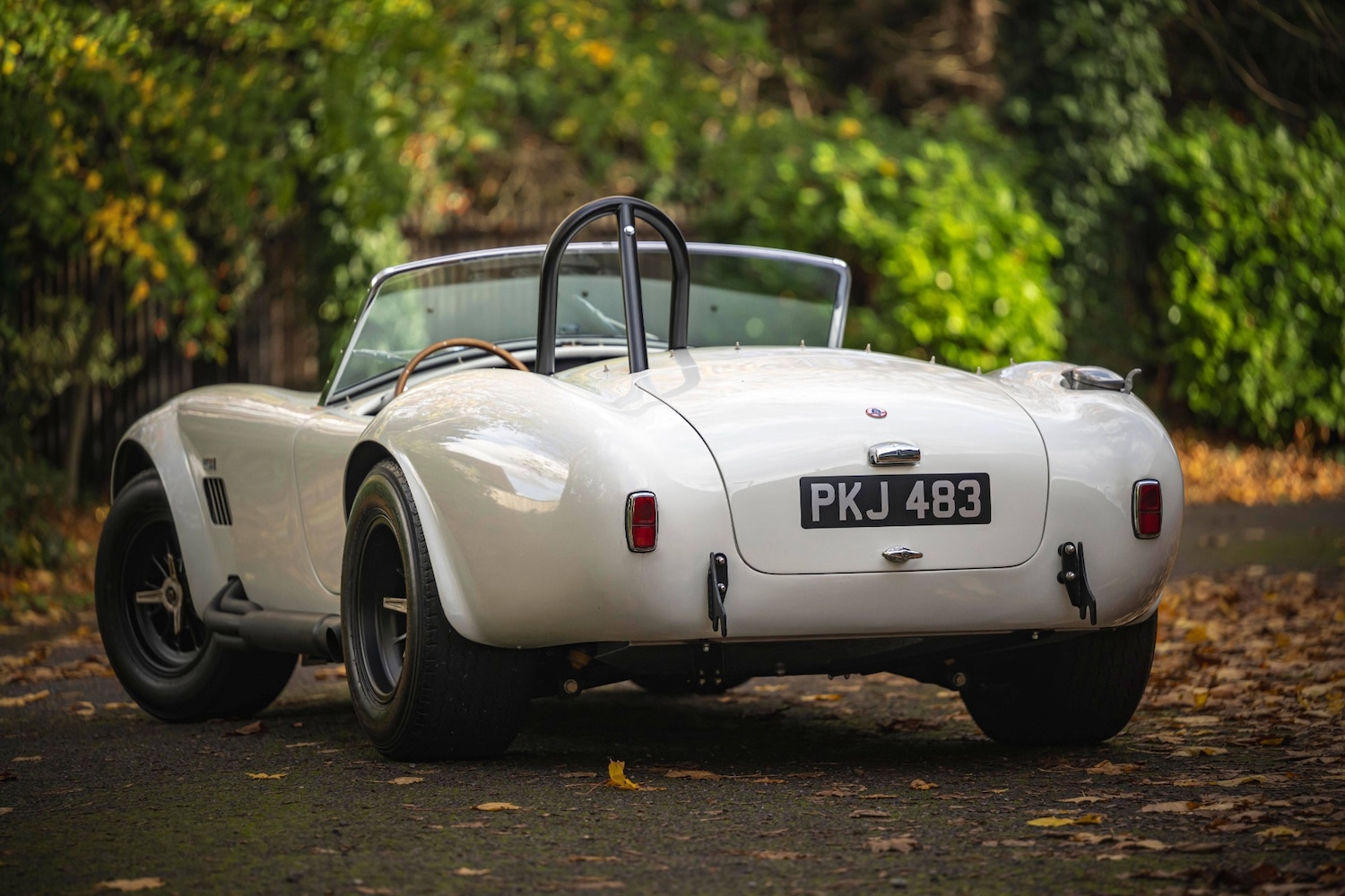 Used AC Cobra 1966 for sale - 76602729: Photo 11