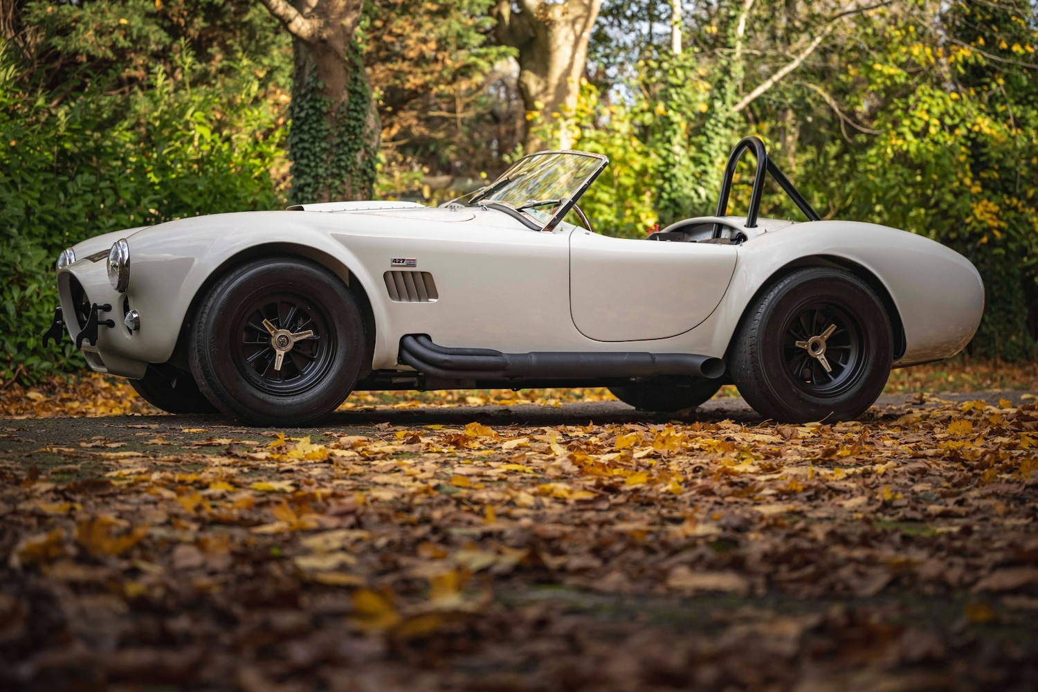 Used AC Cobra 1966 for sale - 76602729: Photo 13
