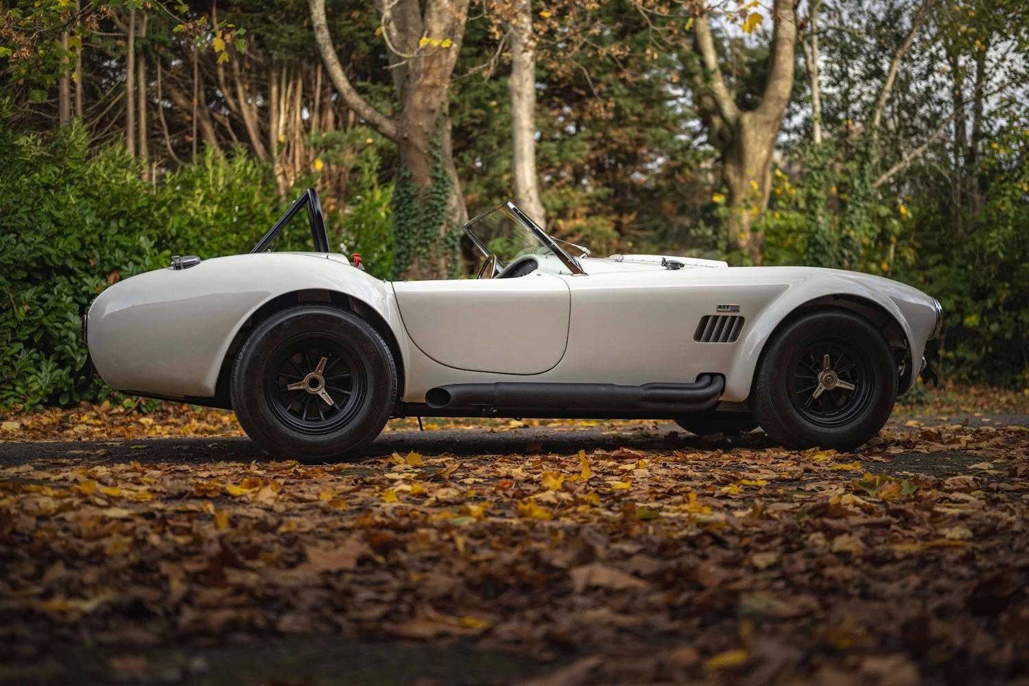 Used AC Cobra 1966 for sale - 76602729: Photo 14