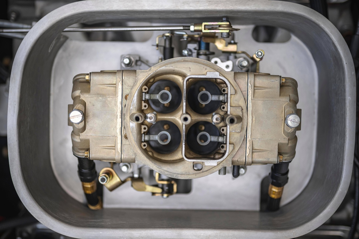 Used AC Cobra 1966 for sale - 76602729: Photo 17