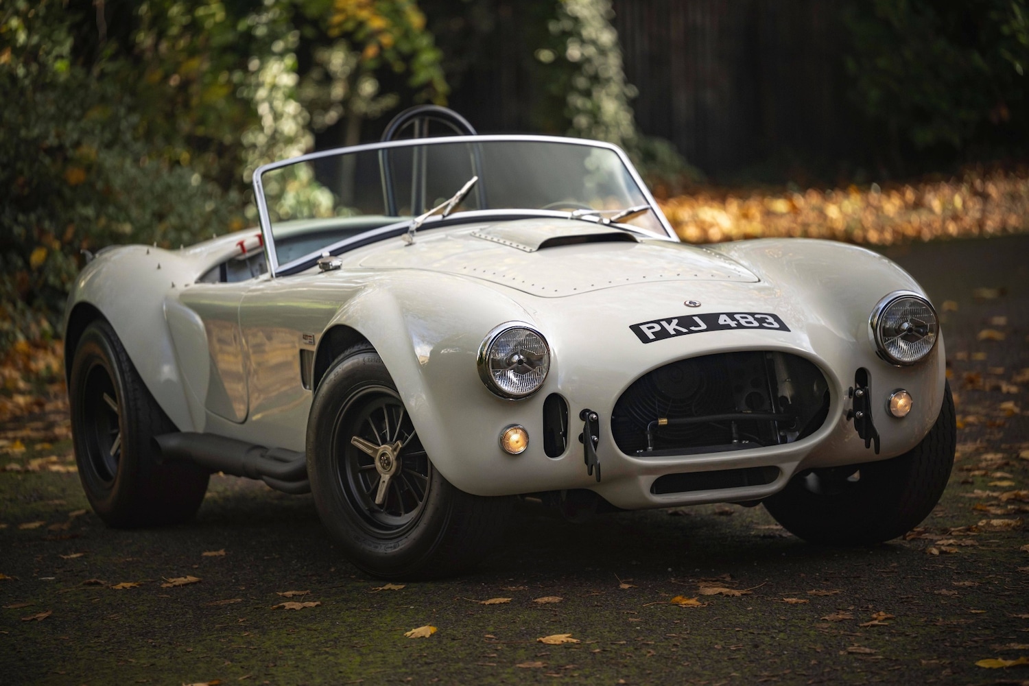 Used AC Cobra 1966 for sale - 76602729: Photo 3
