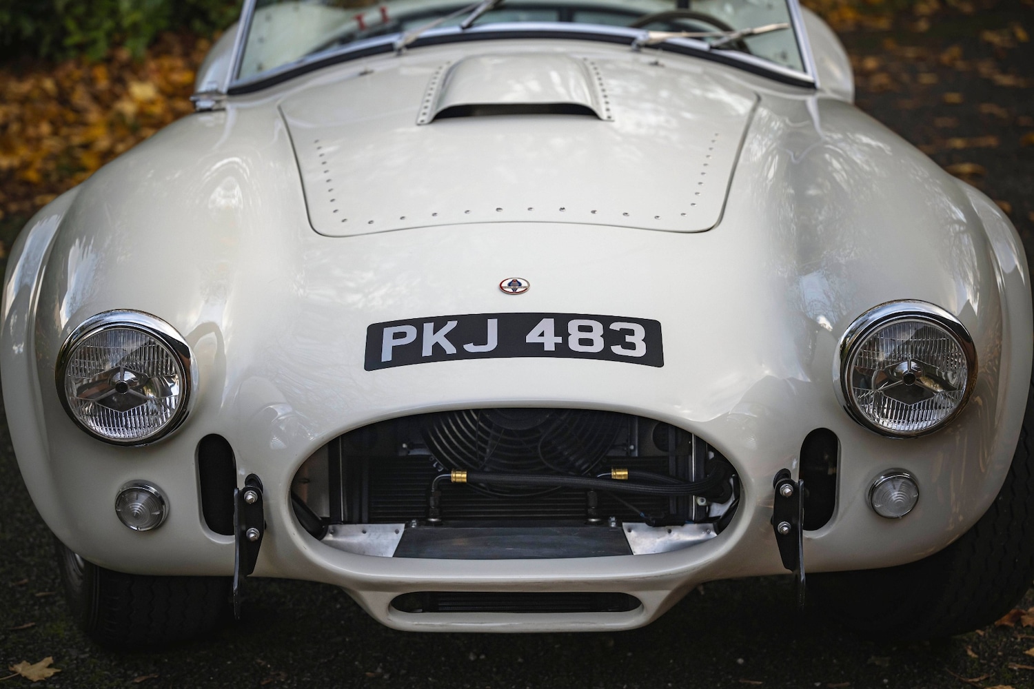 Used AC Cobra 1966 for sale - 76602729: Photo 7