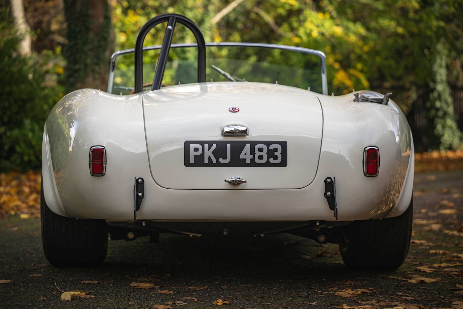 Used AC Cobra 1966 for sale - 76602729: Photo 8