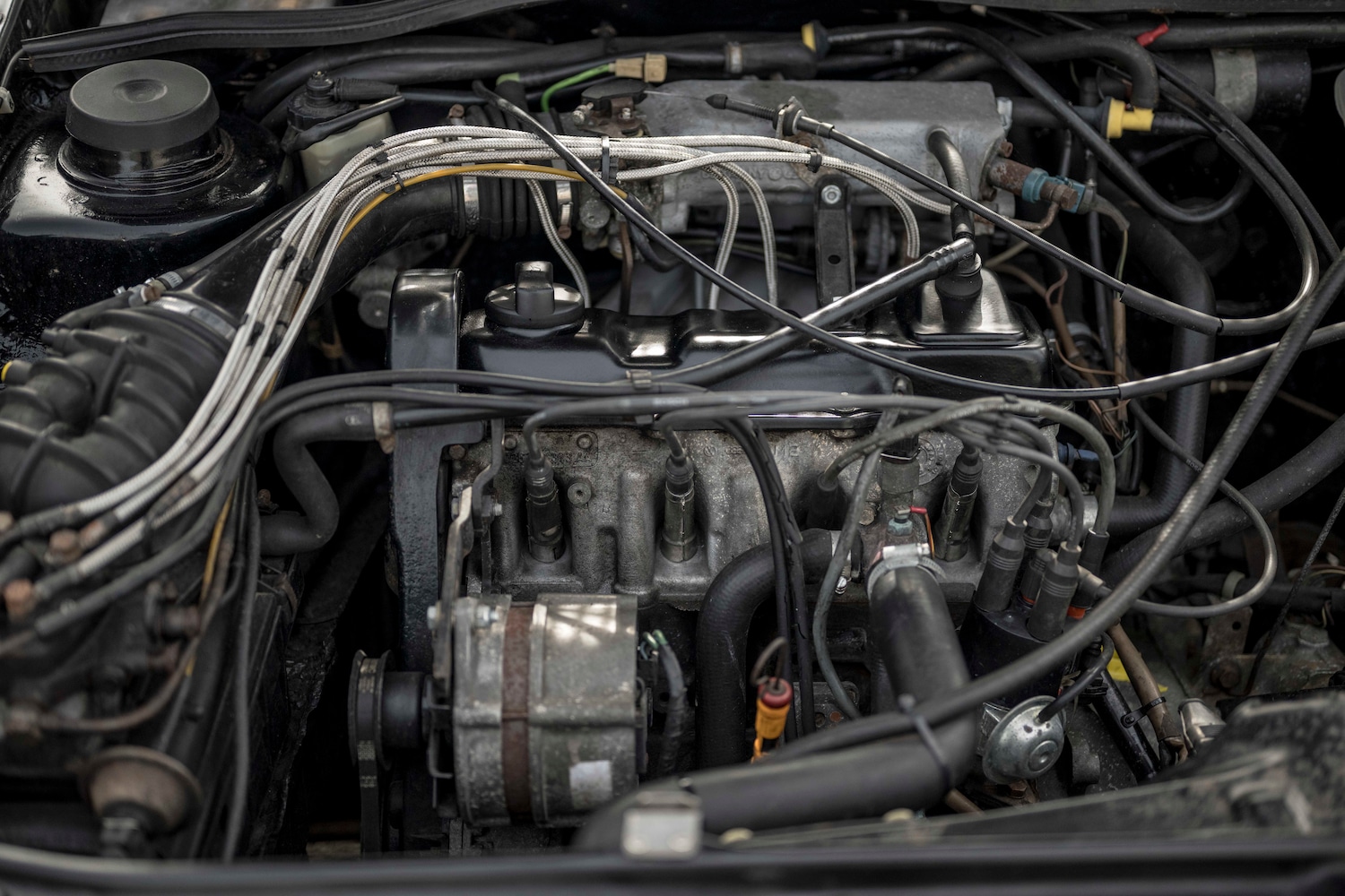 Used Volkswagen Golf 1984 for sale - 78014366: Photo 6