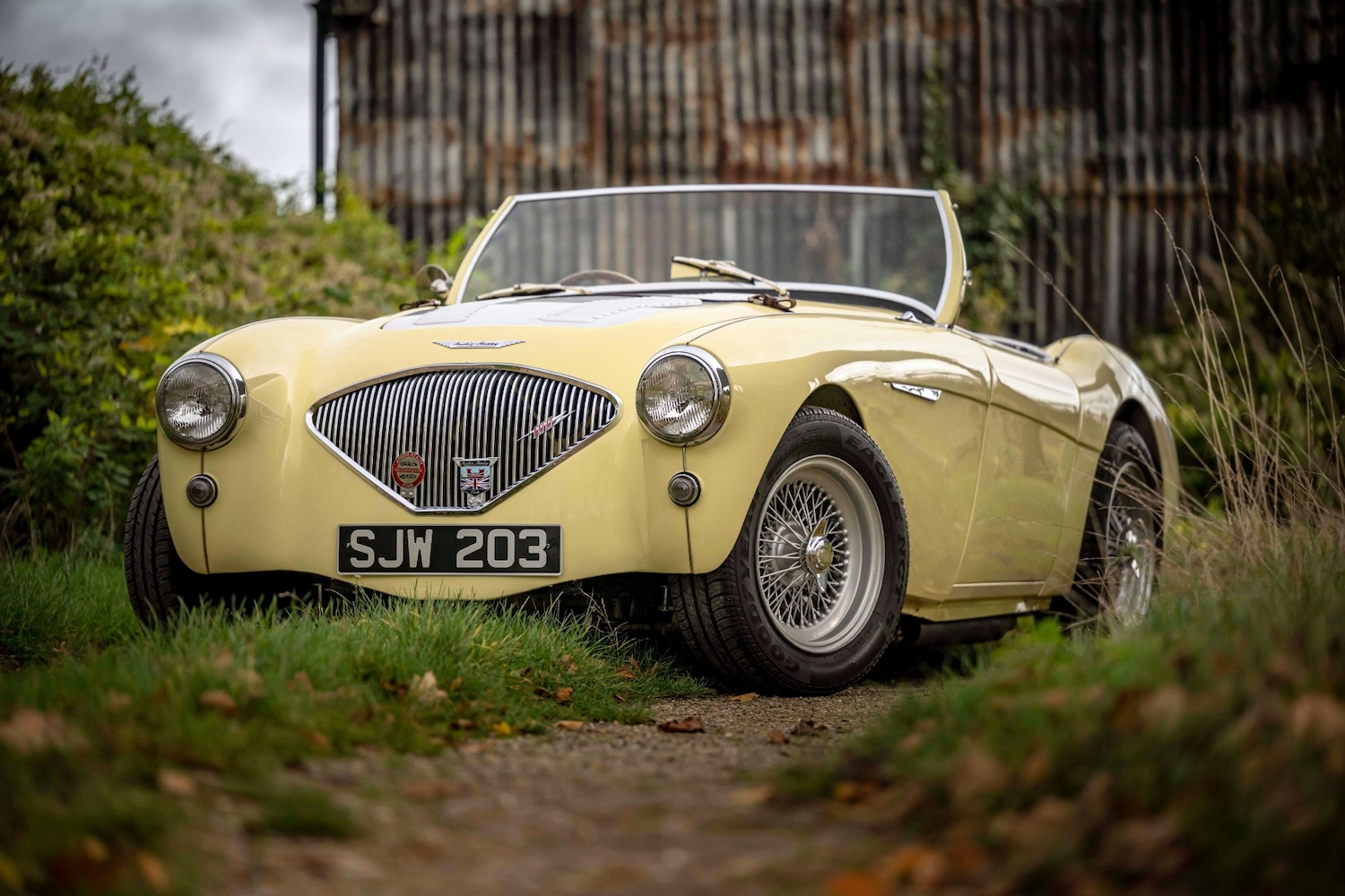 Used Austin Healey 1956 for sale - 76463975: Photo 1