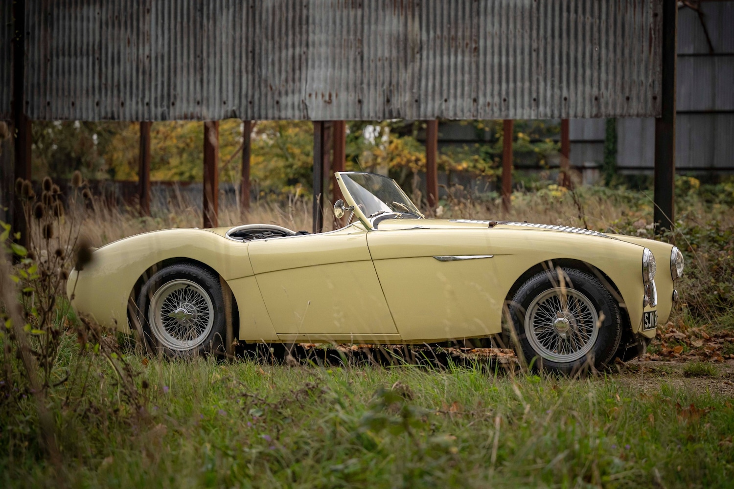 Used Austin Healey 1956 for sale - 76463975: Photo 10