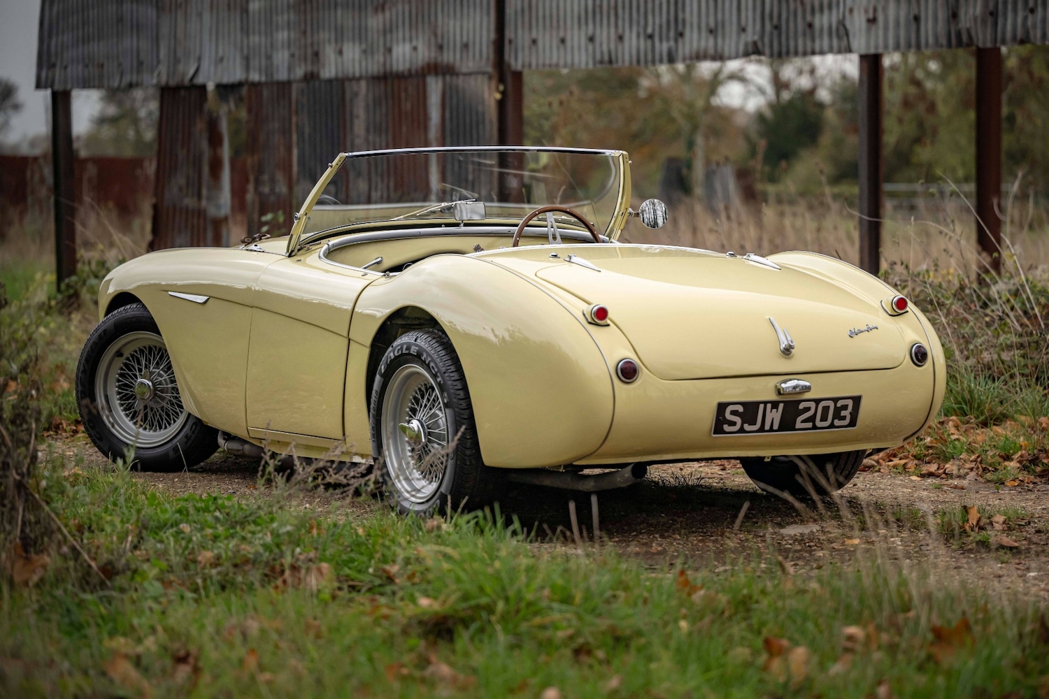 Used Austin Healey 1956 for sale - 76463975: Photo 13