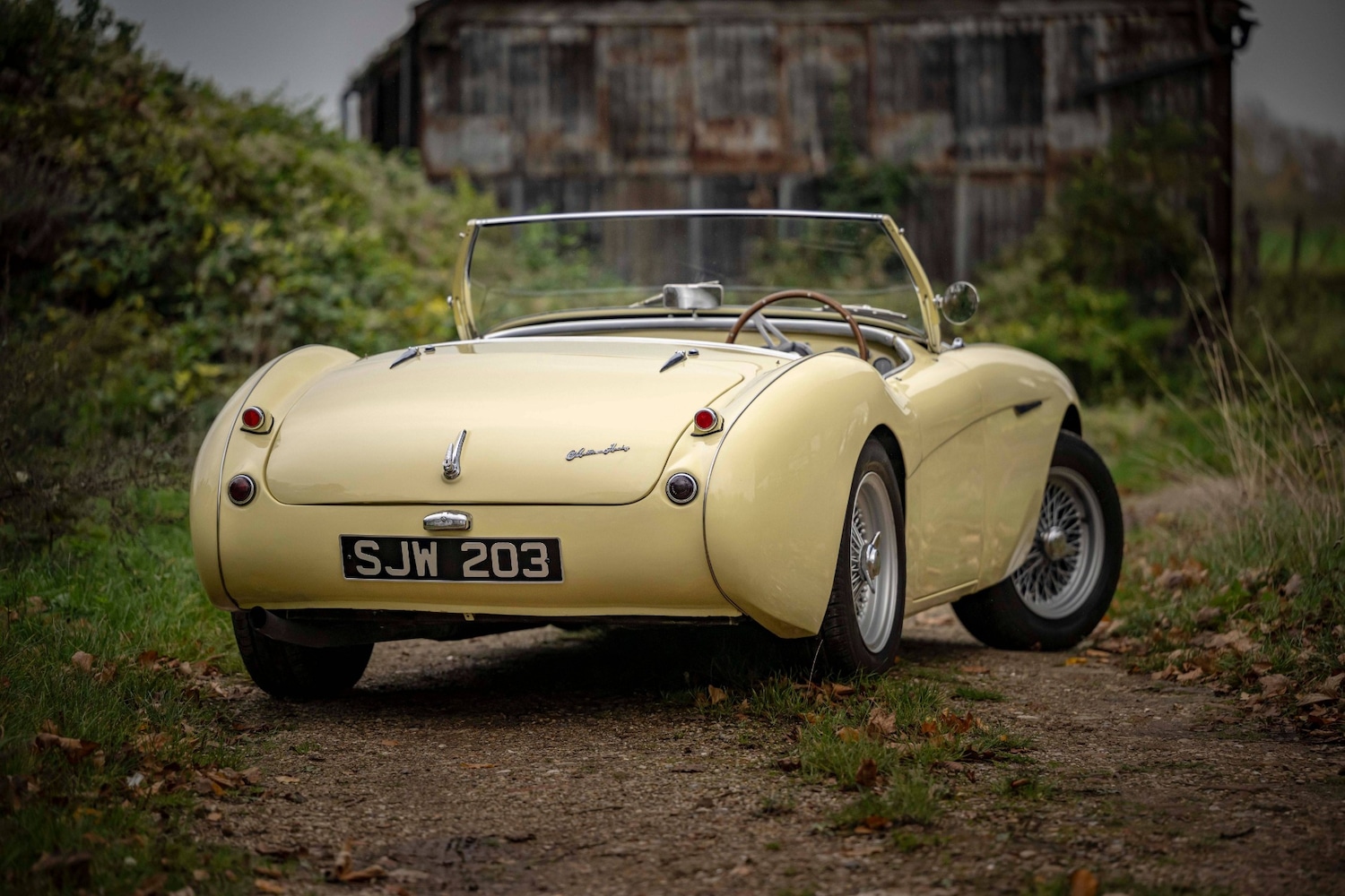 Used Austin Healey 1956 for sale - 76463975: Photo 14