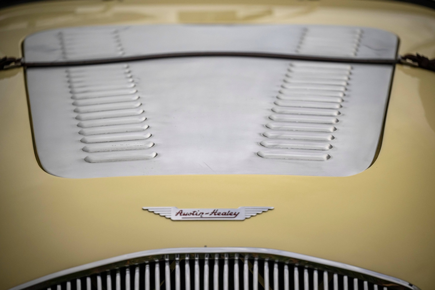 Used Austin Healey 1956 for sale - 76463975: Photo 15