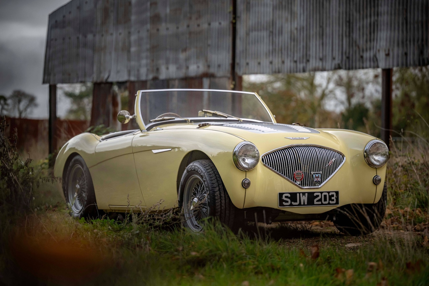 Used Austin Healey 1956 for sale - 76463975: Photo 3