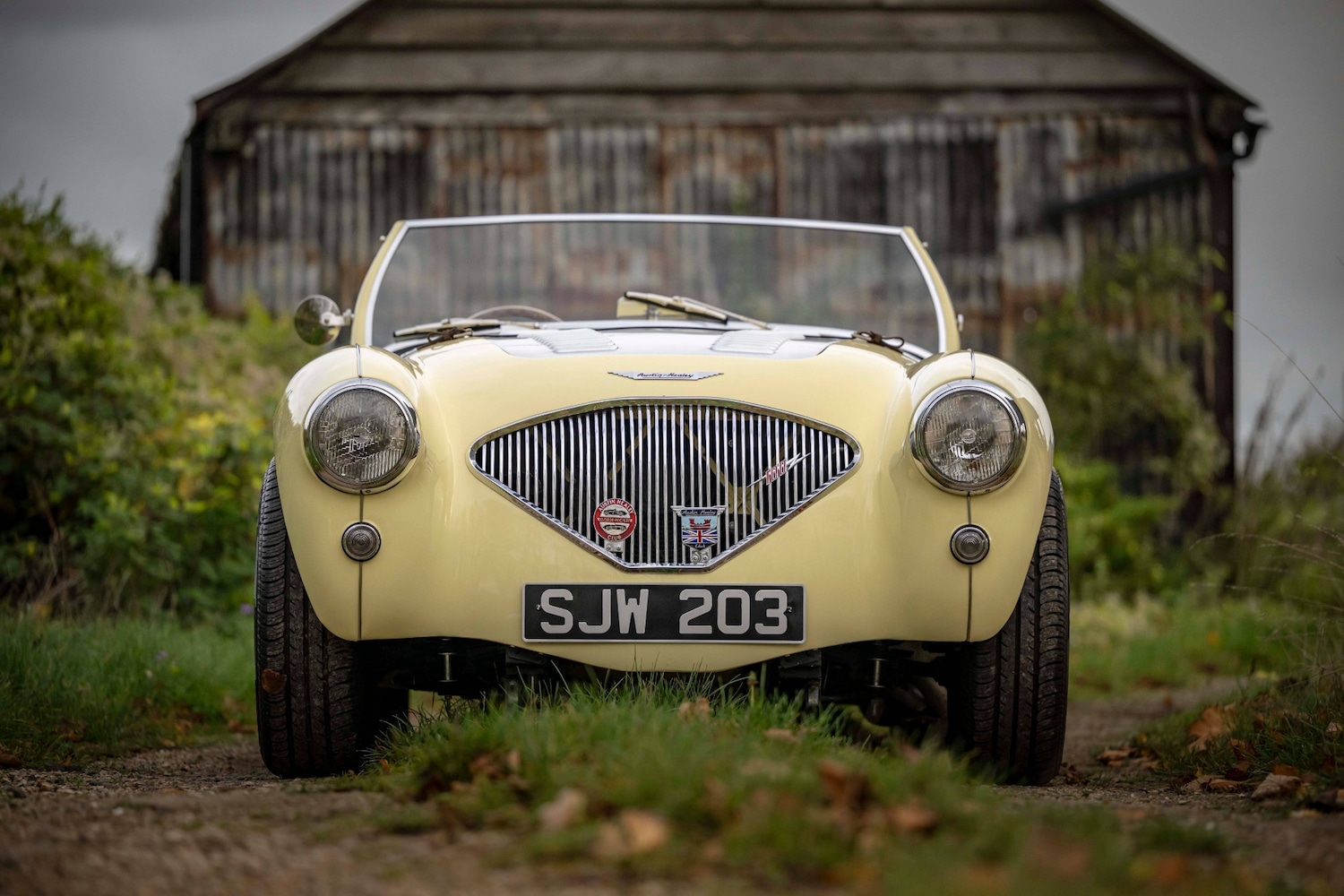 Used Austin Healey 1956 for sale - 76463975: Photo 6