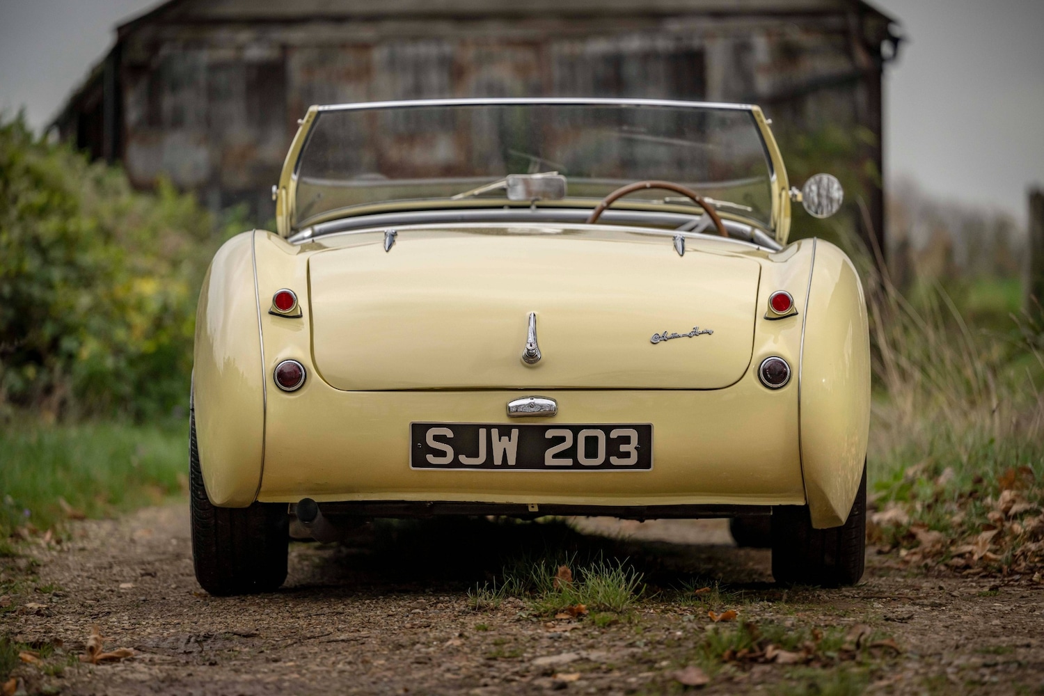 Used Austin Healey 1956 for sale - 76463975: Photo 7