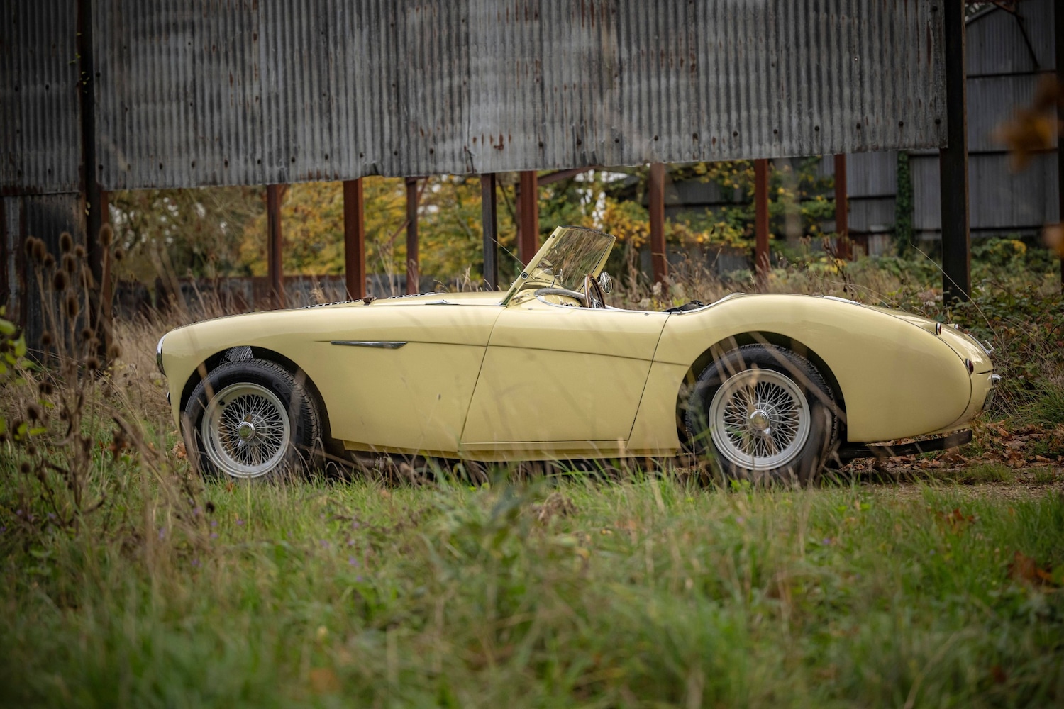 Used Austin Healey 1956 for sale - 76463975: Photo 9