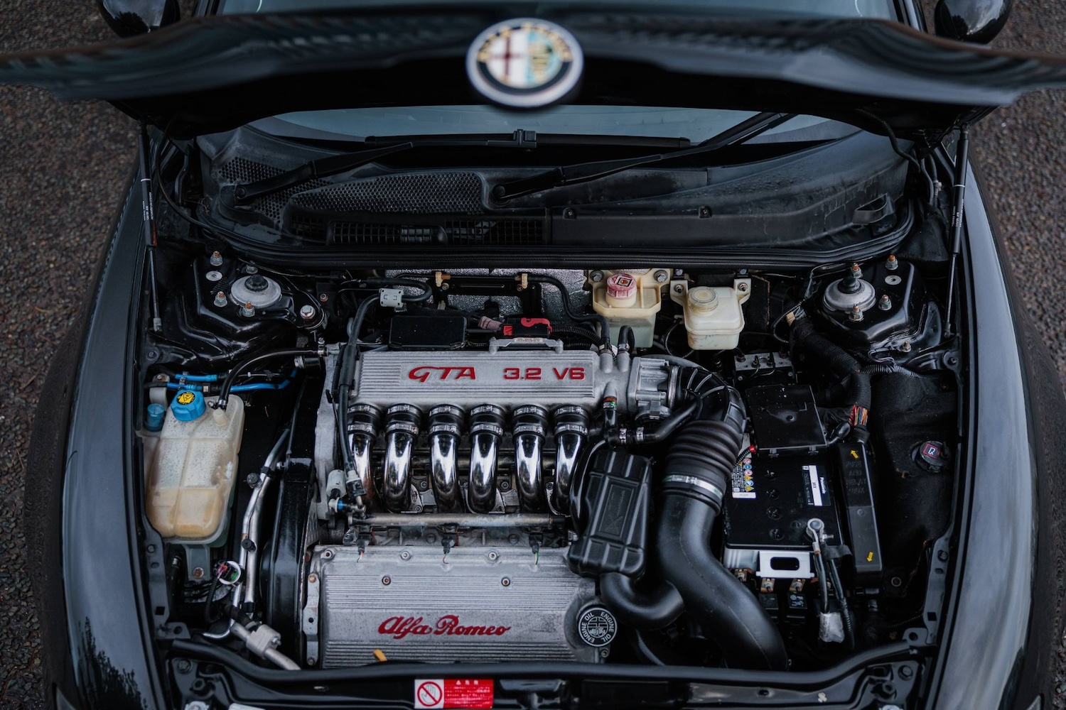 Used Alfa Romeo 147 2025 for sale - 76877873: Photo 8