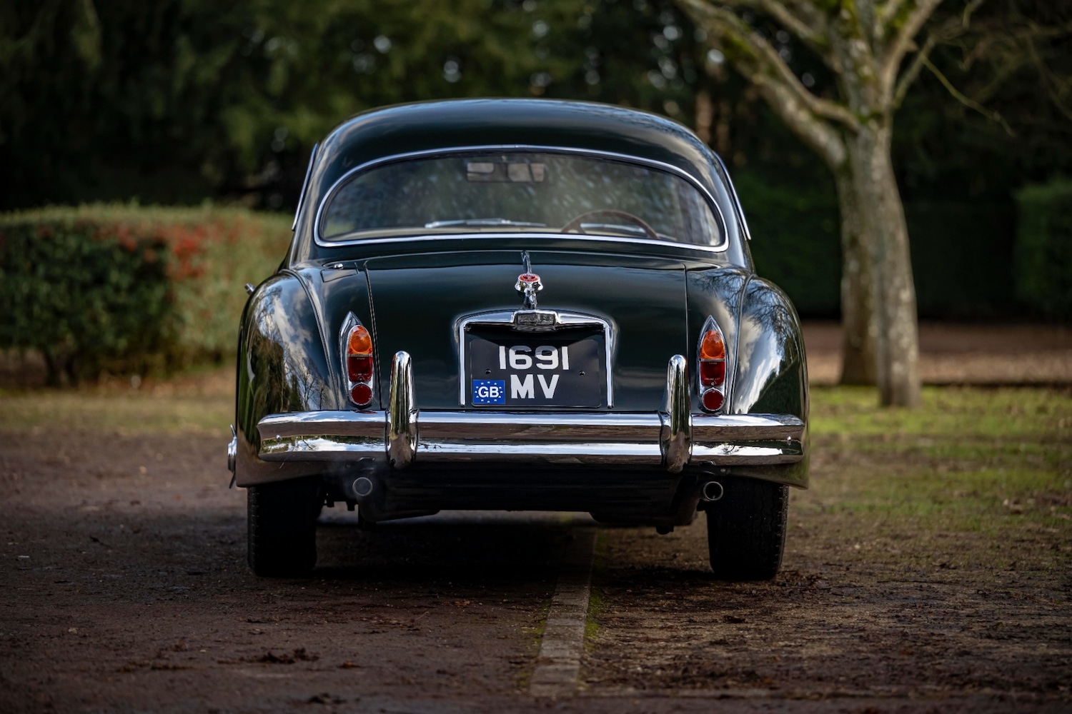 Used Jaguar XK 1960 for sale - 77282495: Photo 7