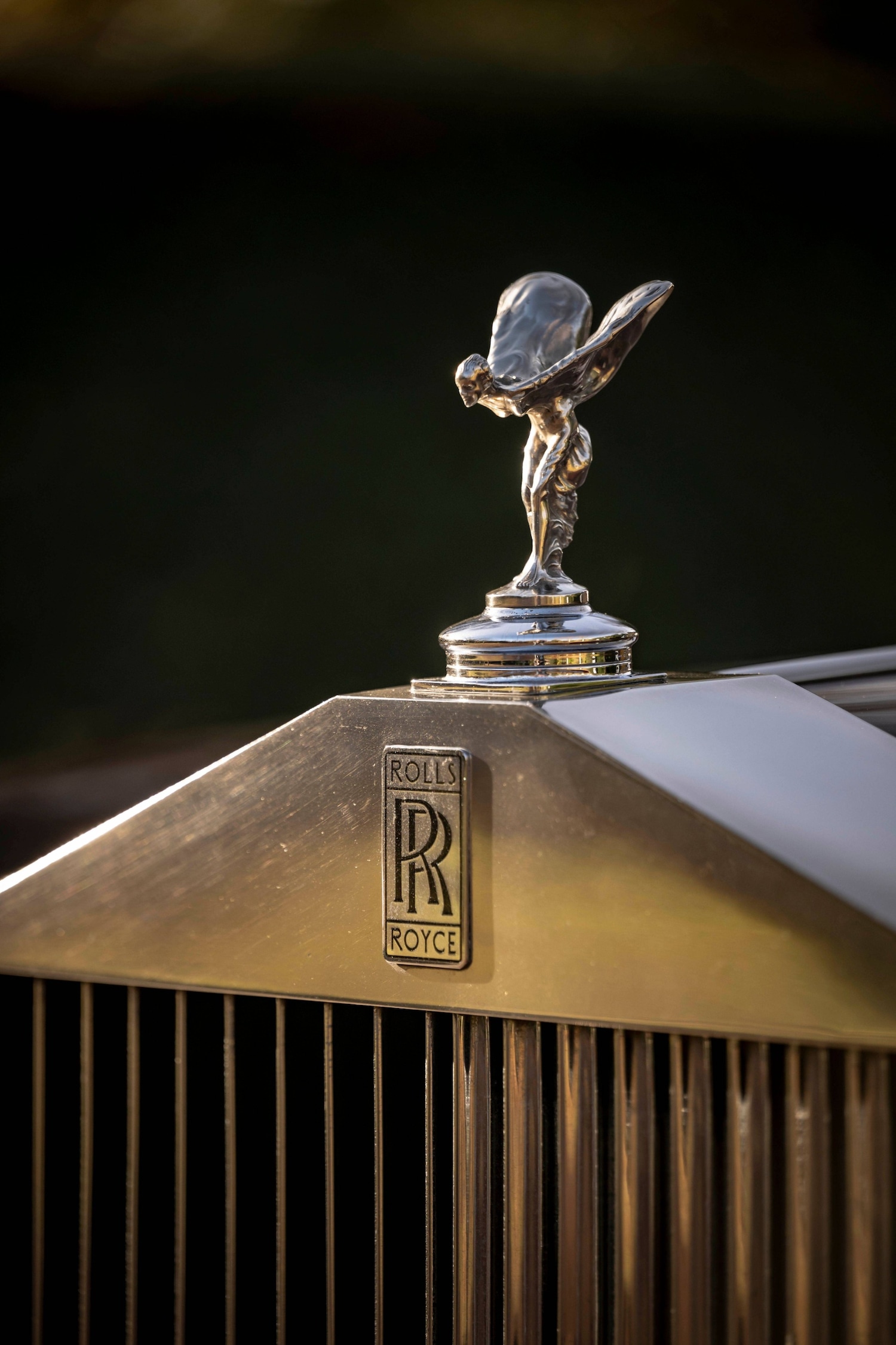 Used Rolls-Royce Silver Cloud 1964 for sale - 76719054: Photo 7